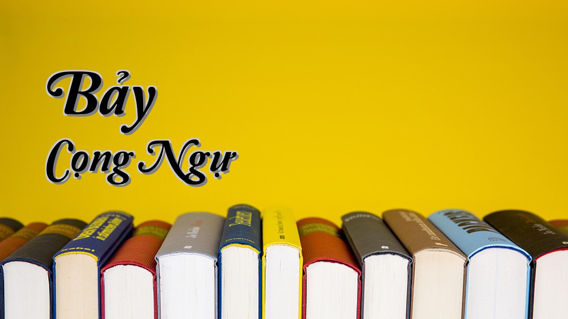 cover-Bảy Cọng Ngự