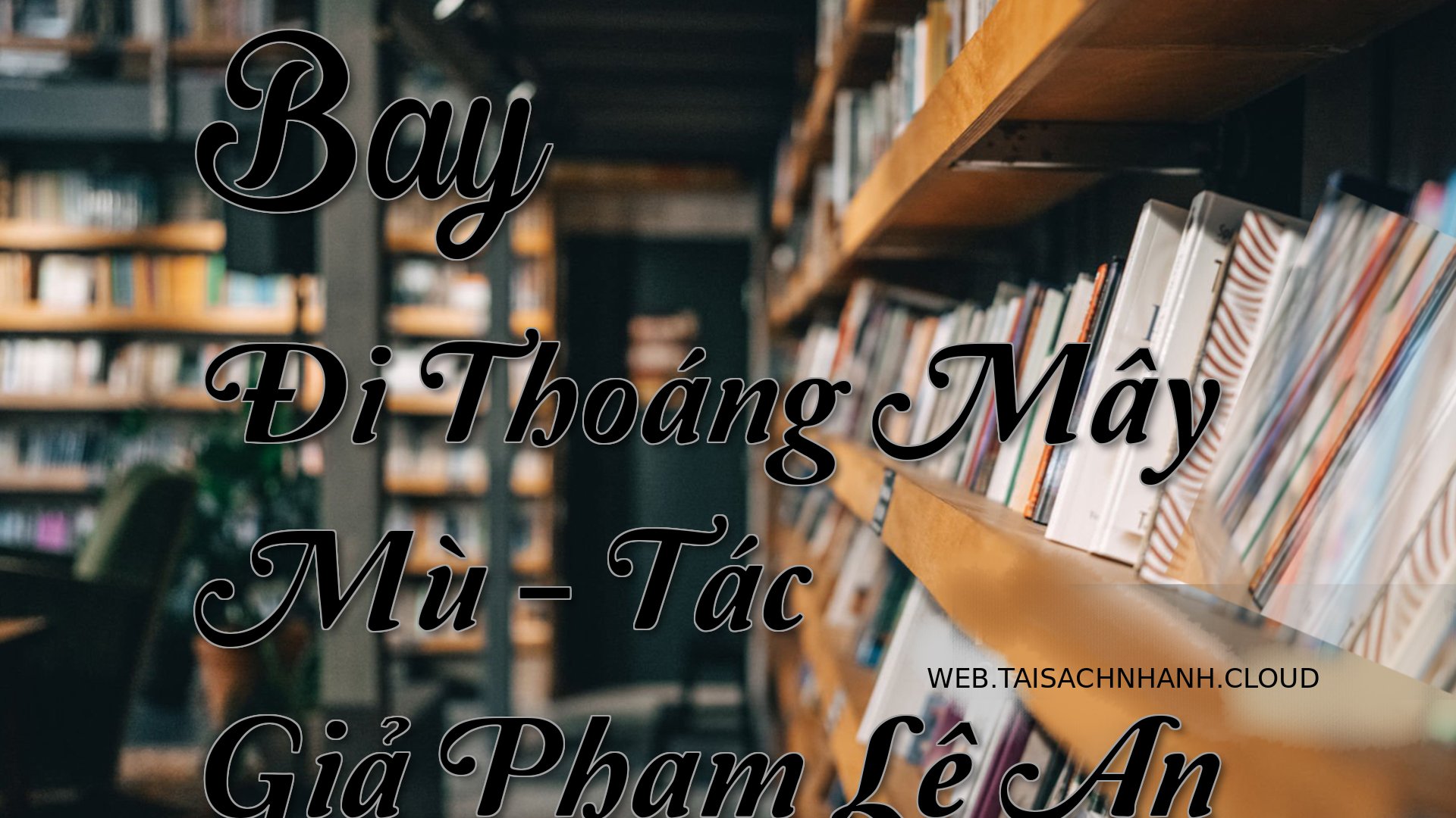 Cover Bay Di Thoang May Mu.jpg