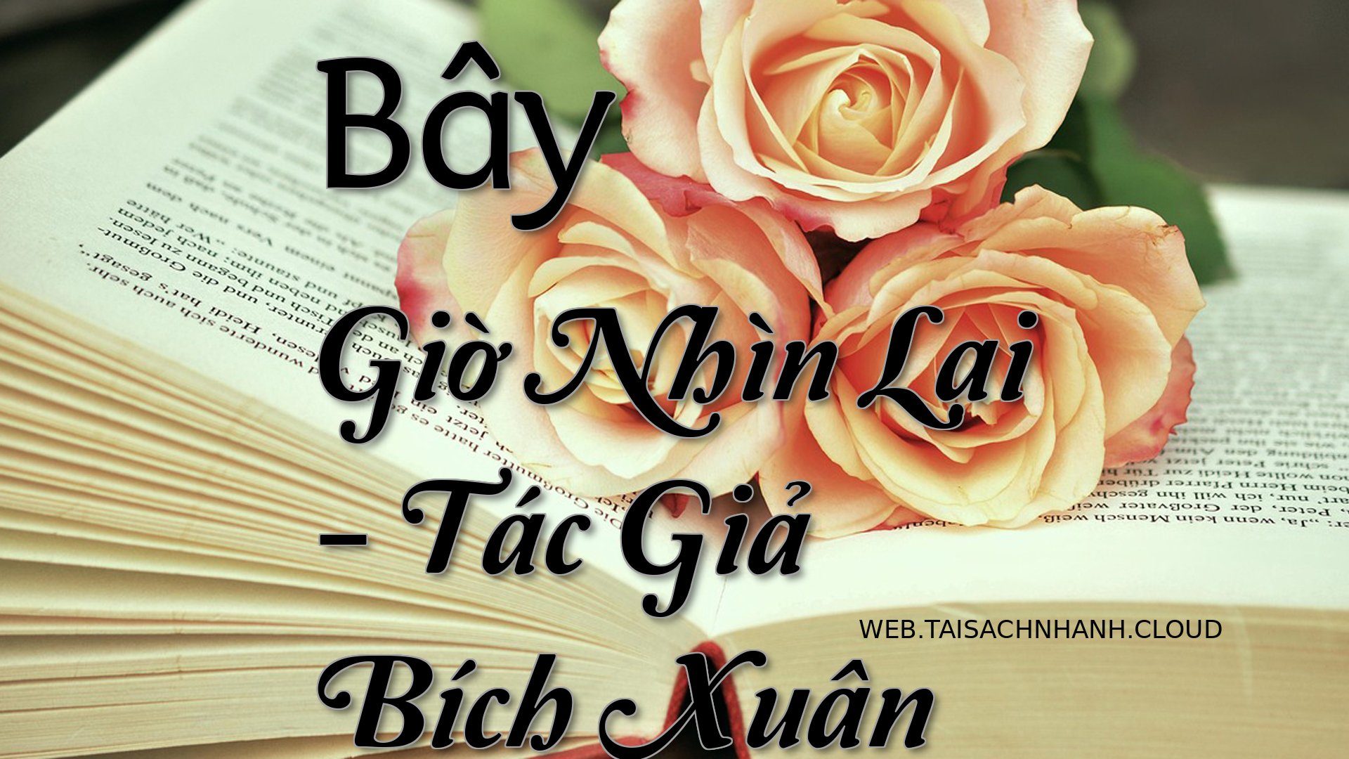 Cover Bay Gio Nhin Lai.jpg