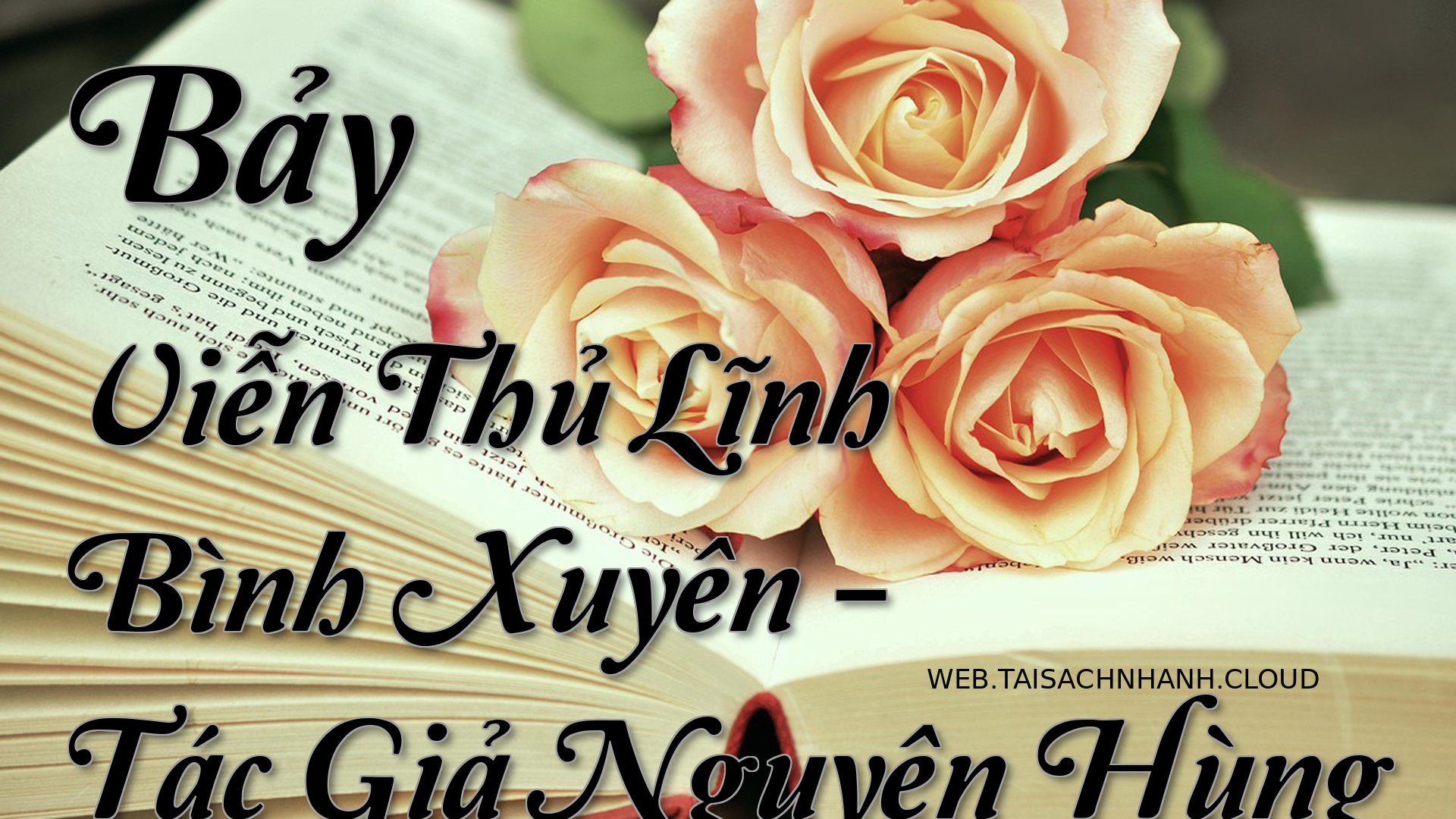 Cover Bay Vien Thu Linh Bi.jpg