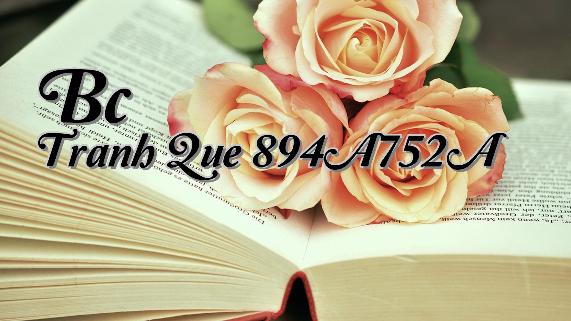 cover-Bc Tranh Que 894A752A