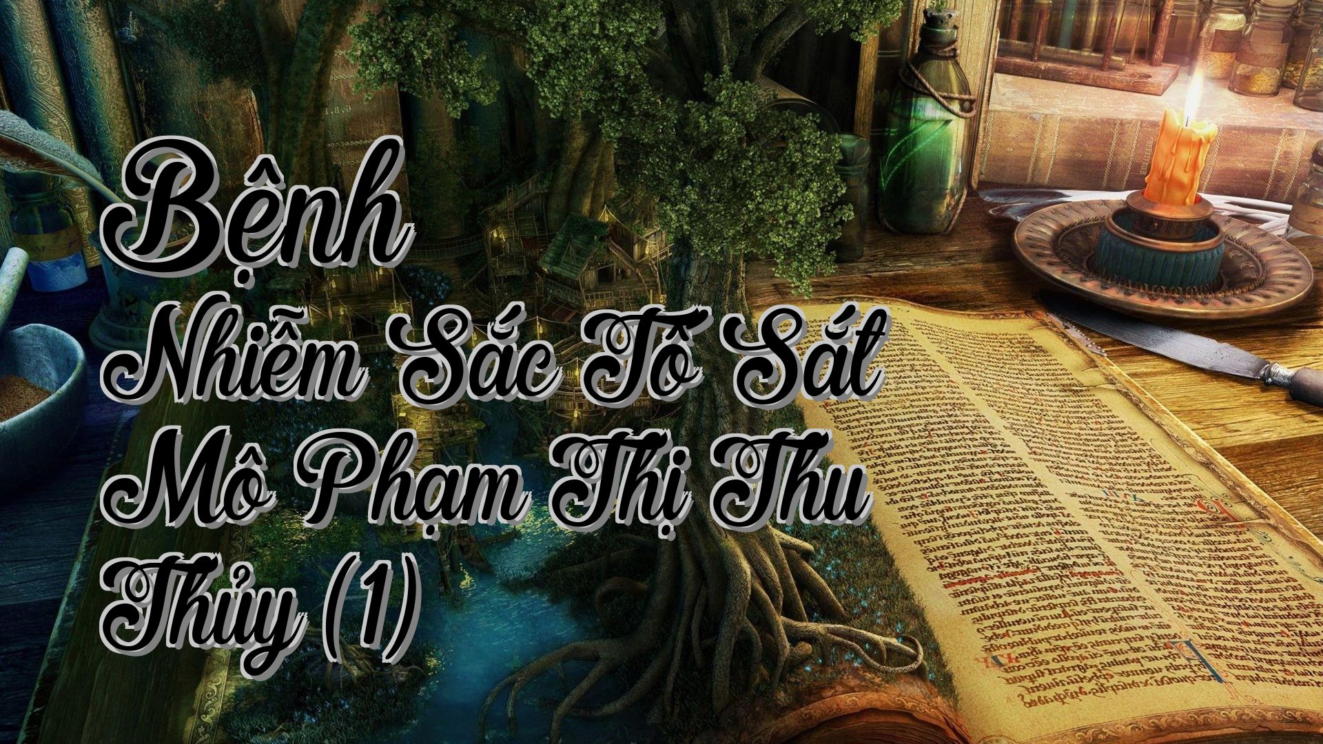 cover-Bệnh Nhiễm Sắc Tố Sắt Mô Phạm Thị Thu Thủy (1)