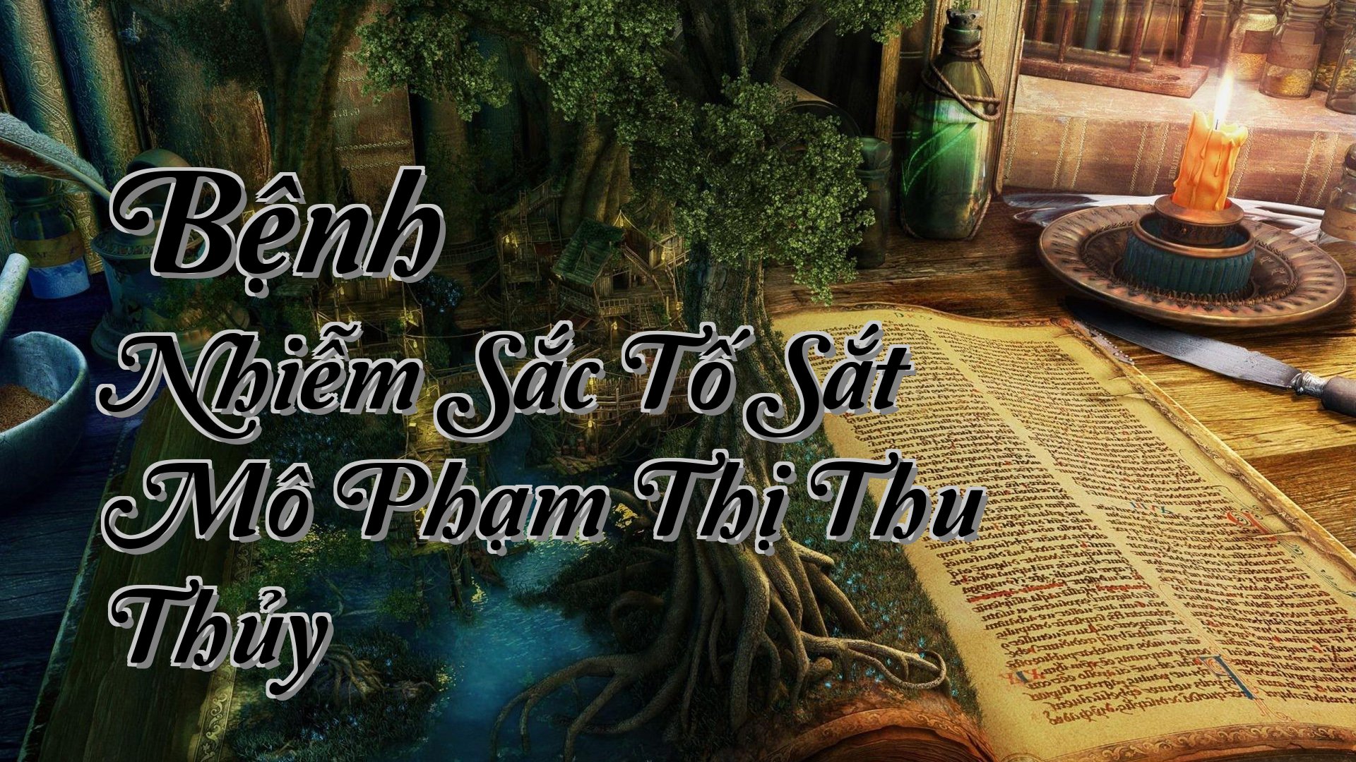 cover-Bệnh Nhiễm Sắc Tố Sắt Mô Phạm Thị Thu Thủy