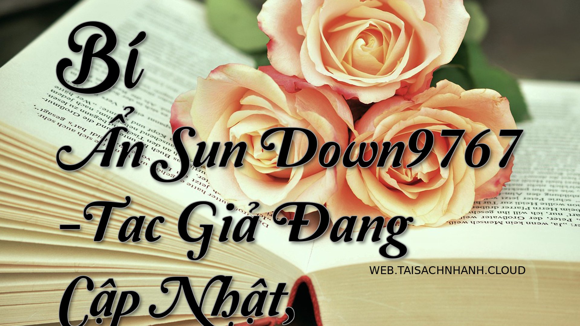 Cover Bi An Sun Down.jpg