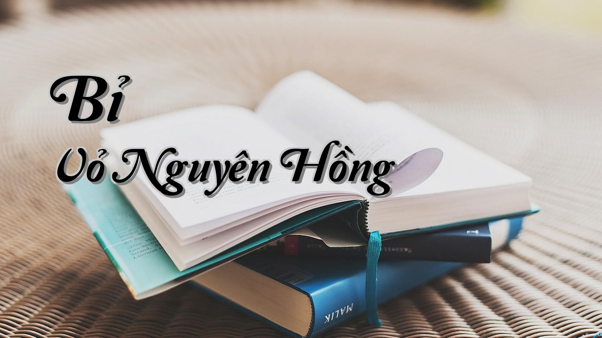 cover-Bỉ Vỏ Nguyên Hồng