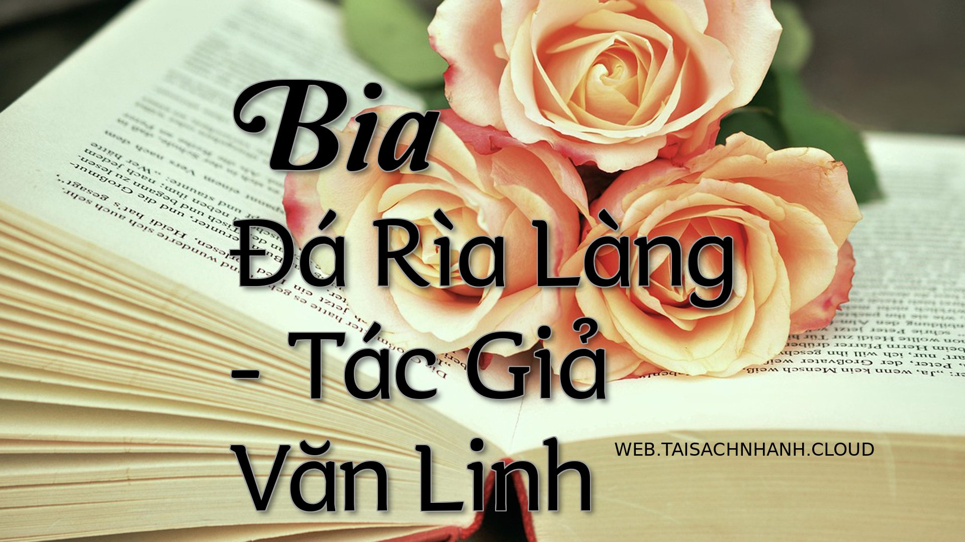 Cover Bia Da Ria Lang.jpg