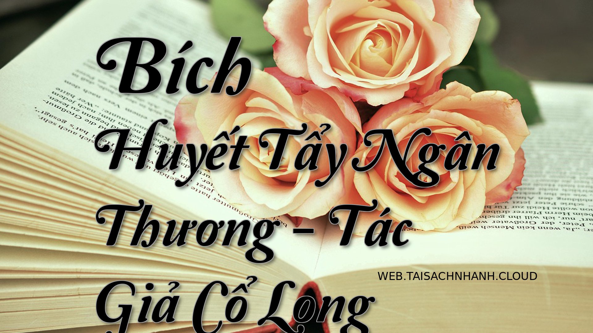 Cover Bich Huyet Tay Ngan .jpg