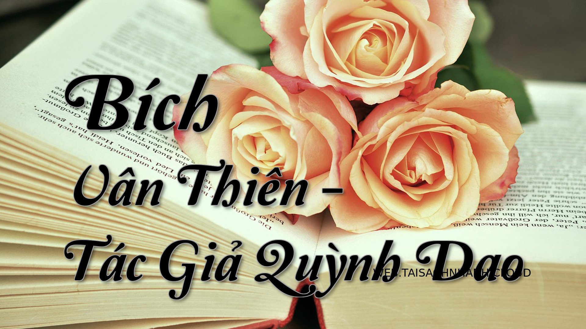 Cover Bich Van Thien.jpg