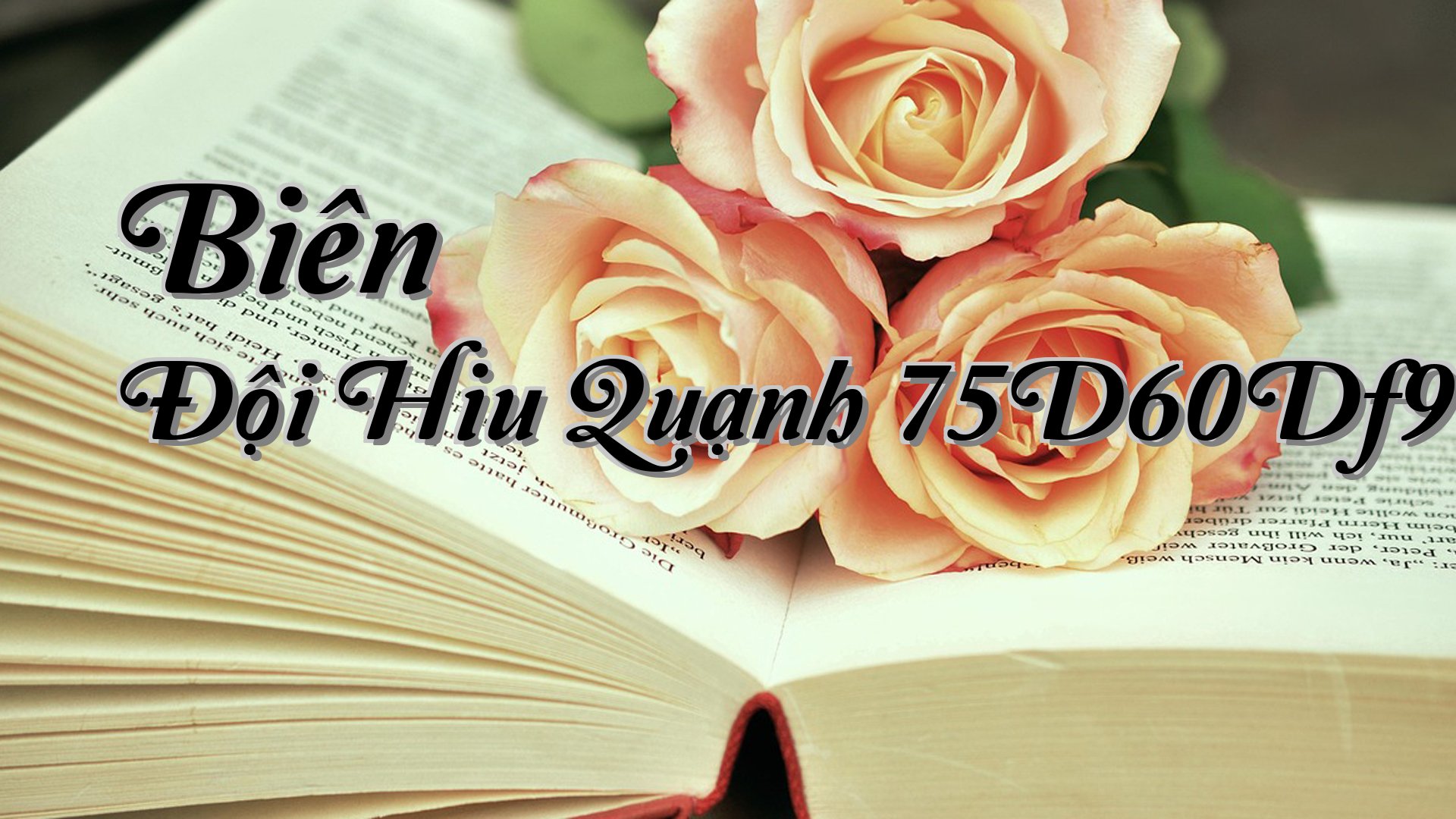 cover-Biên Đội Hiu Quạnh 75D60Df9