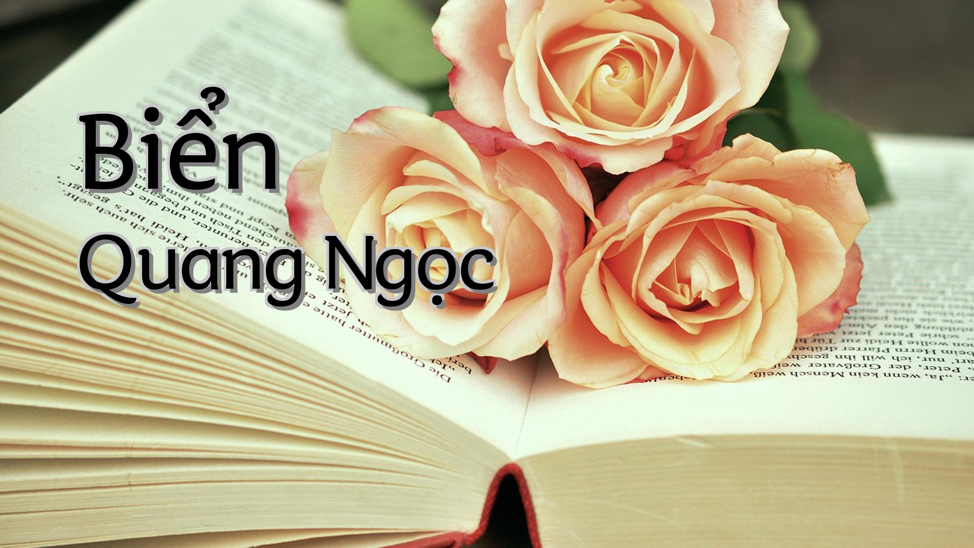 cover-Biển Quang Ngọc