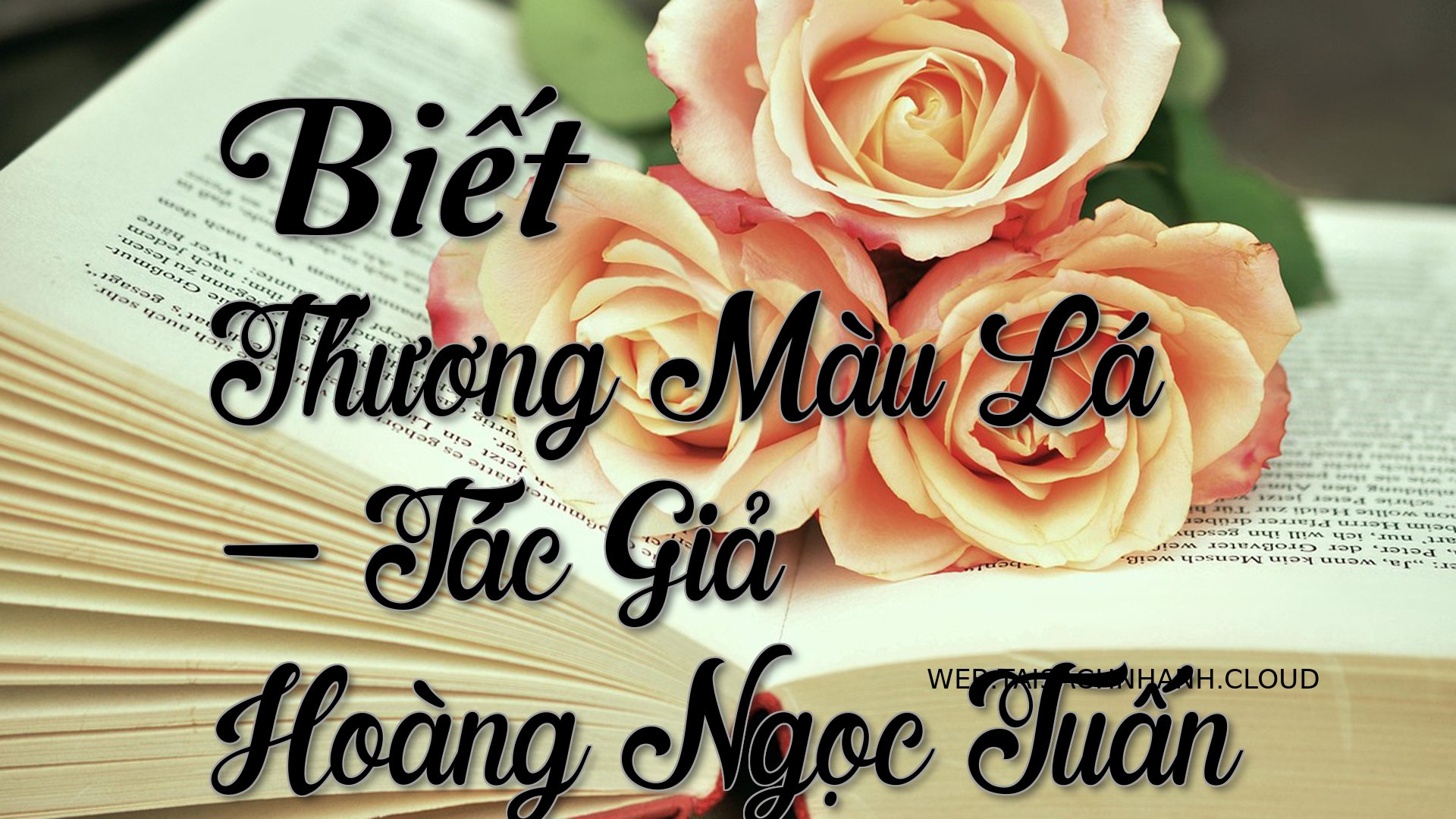 Cover Biet Thuong Mau La.jpg