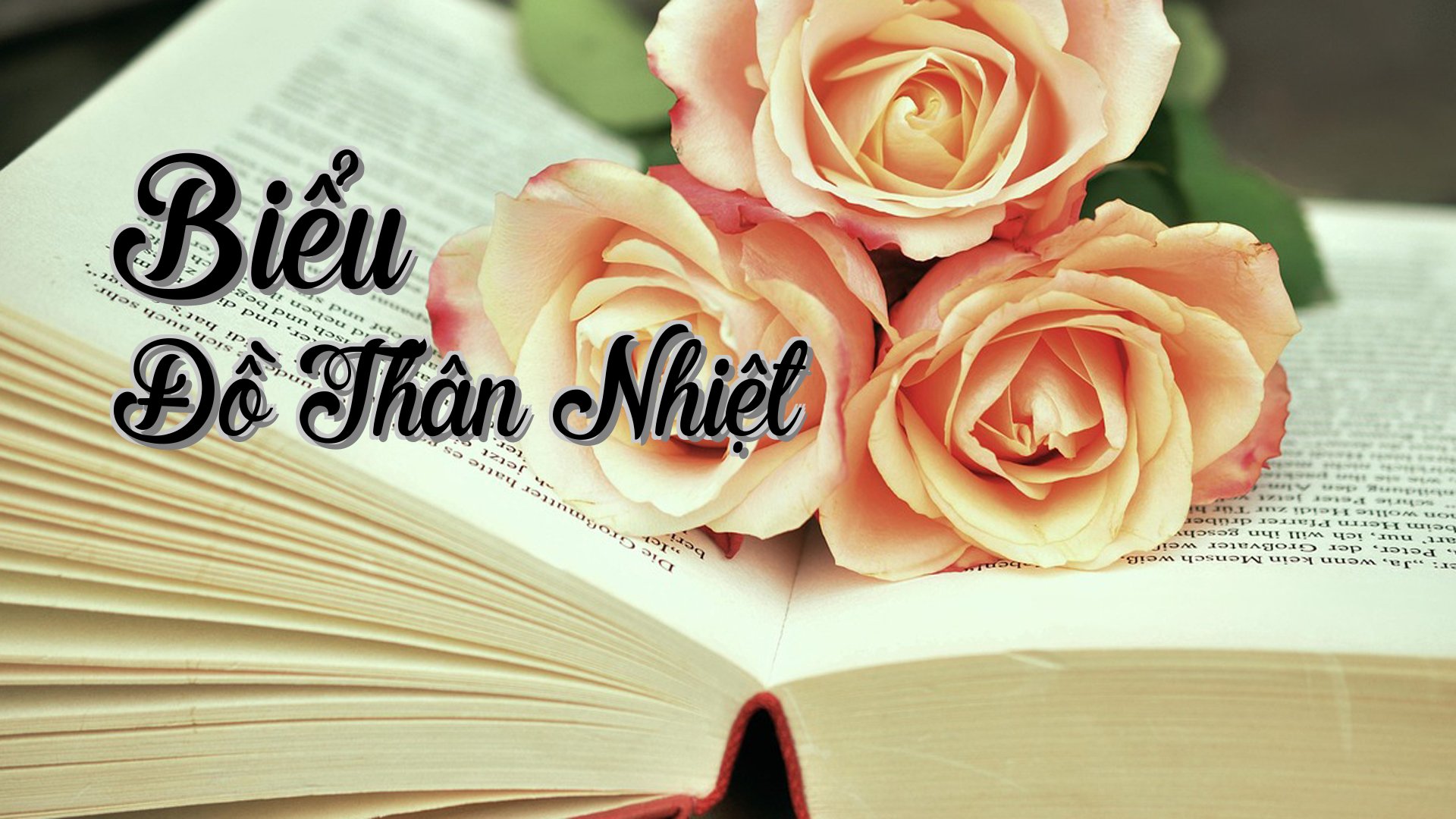 cover-Biểu Đồ Thân Nhiệt