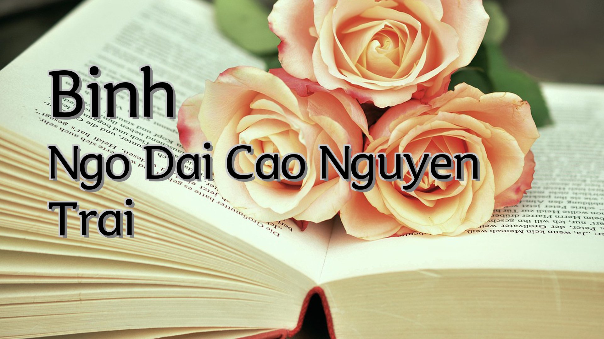 Cover image for Binh Ngo Dai Cao Nguyen Trai