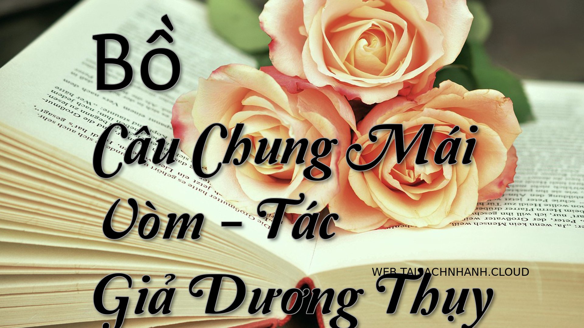 Cover Bo Cau Chung Mai Vom.jpg
