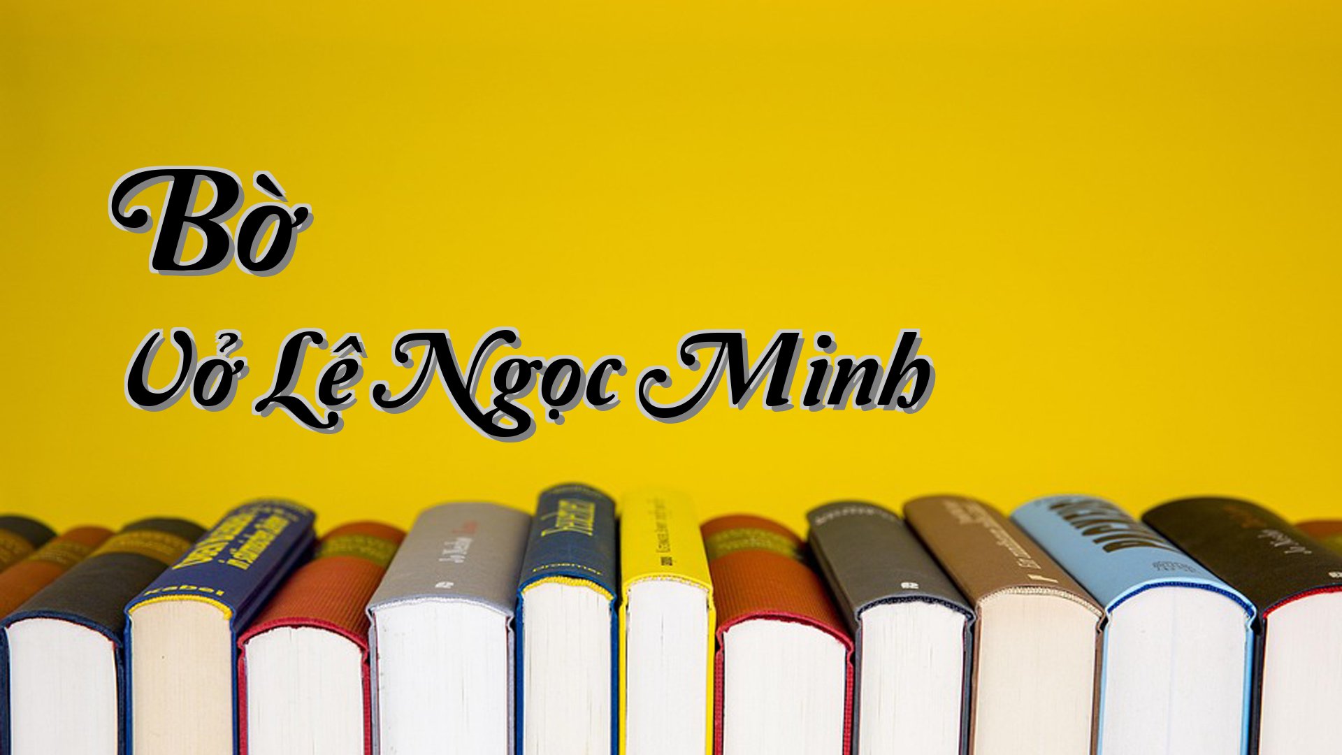 cover-Bờ Vở Lê Ngọc Minh