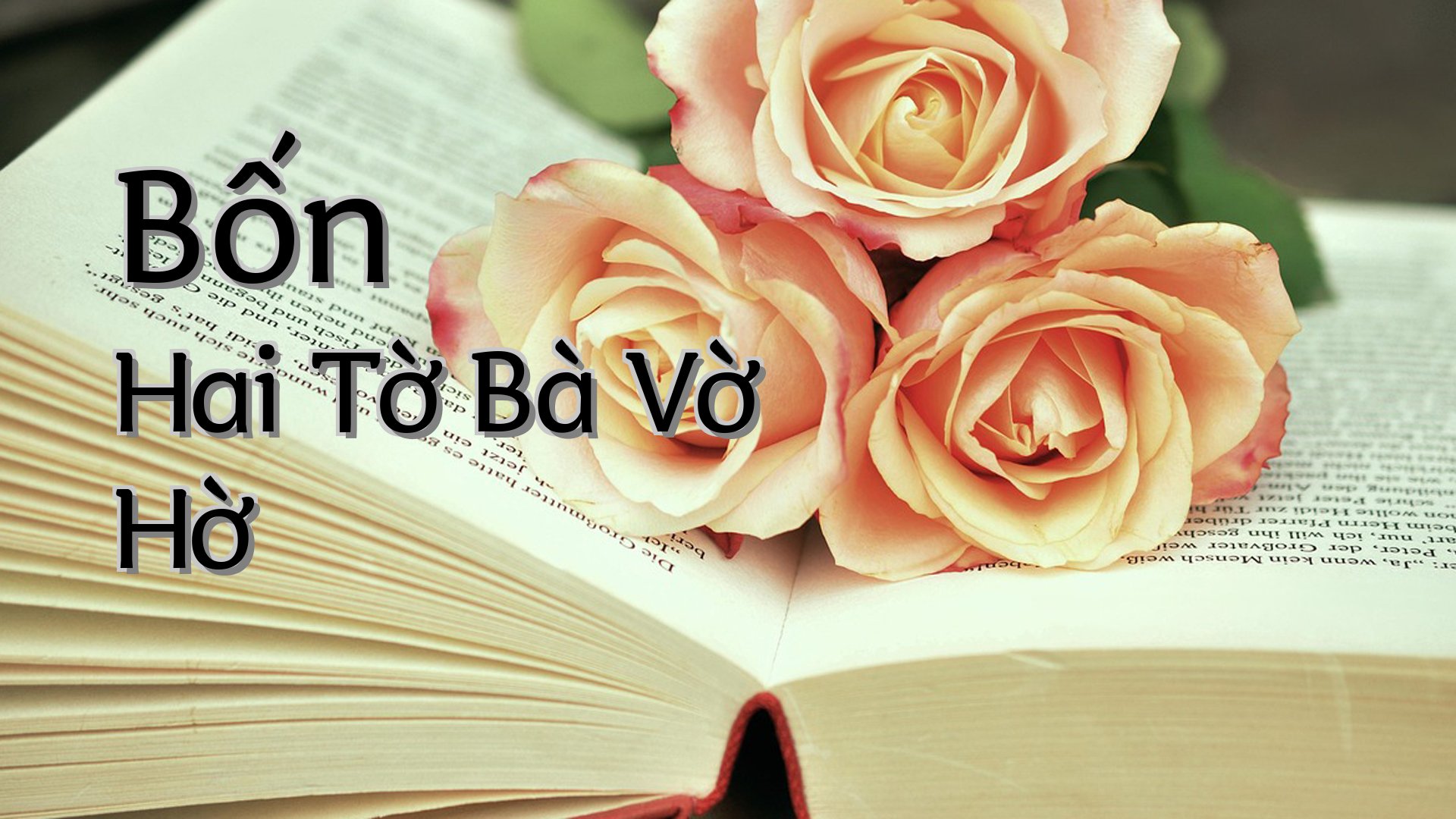 cover-Bốn Hai Tờ Bà Vờ Hờ