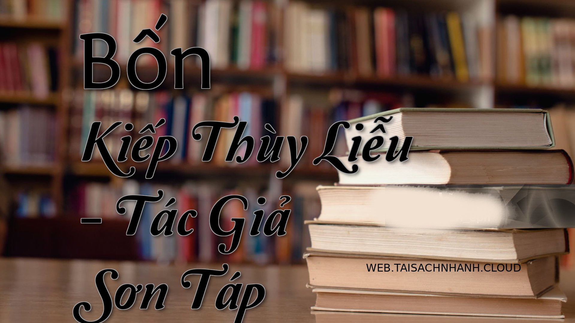 Cover Bon Kiep Thuy Lieu.jpg