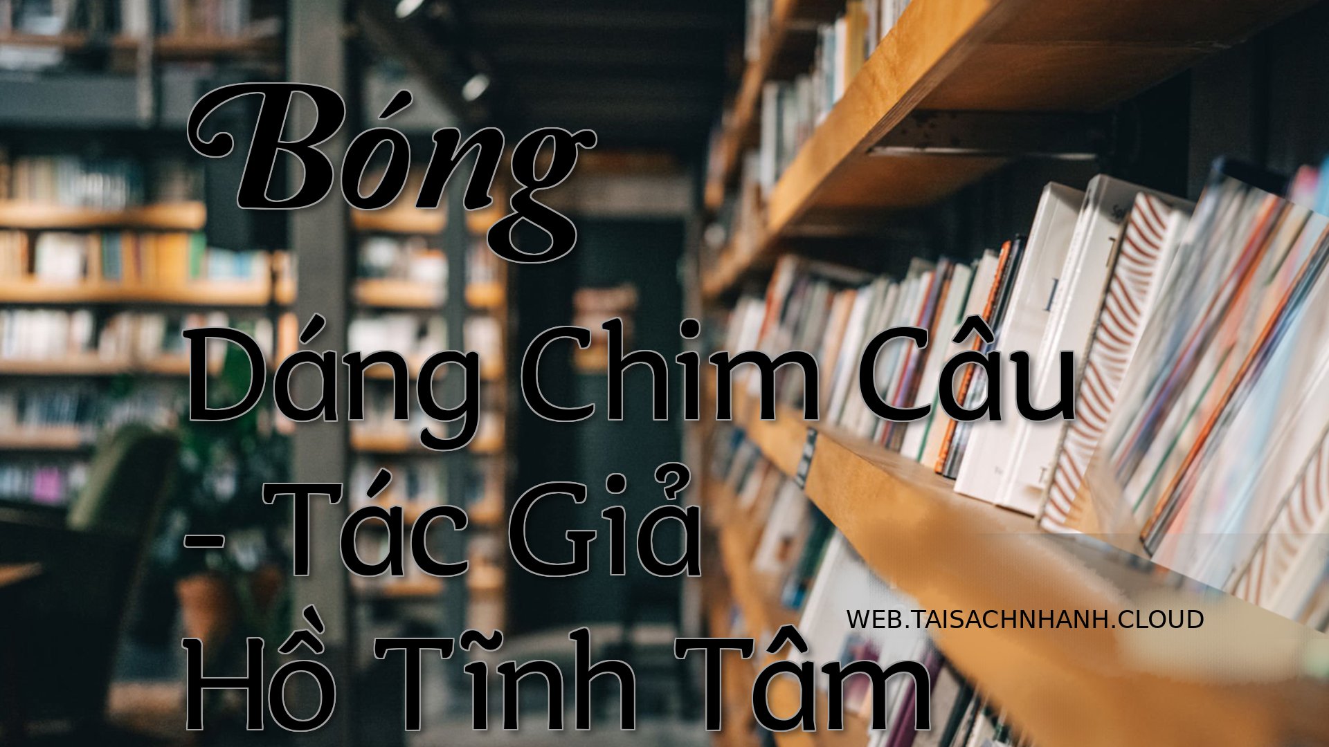 Cover Bong Dang Chim Cau.jpg