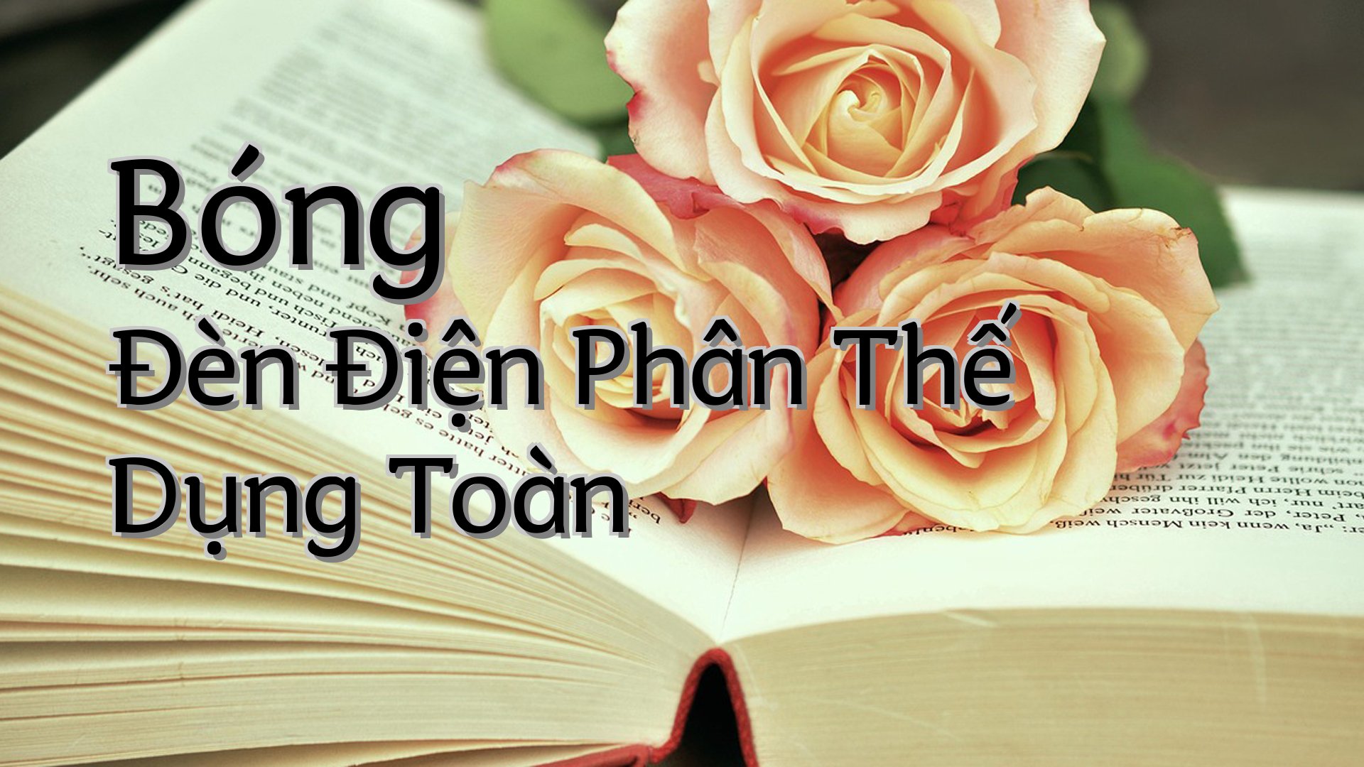 cover-Bóng Đèn Điện Phân Thế Dụng Toàn