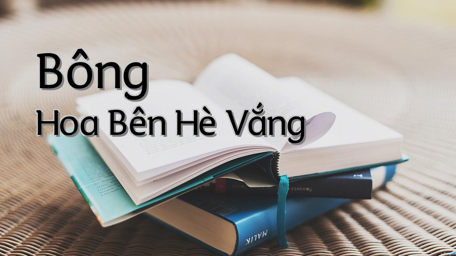 cover-Bông Hoa Bên Hè Vắng