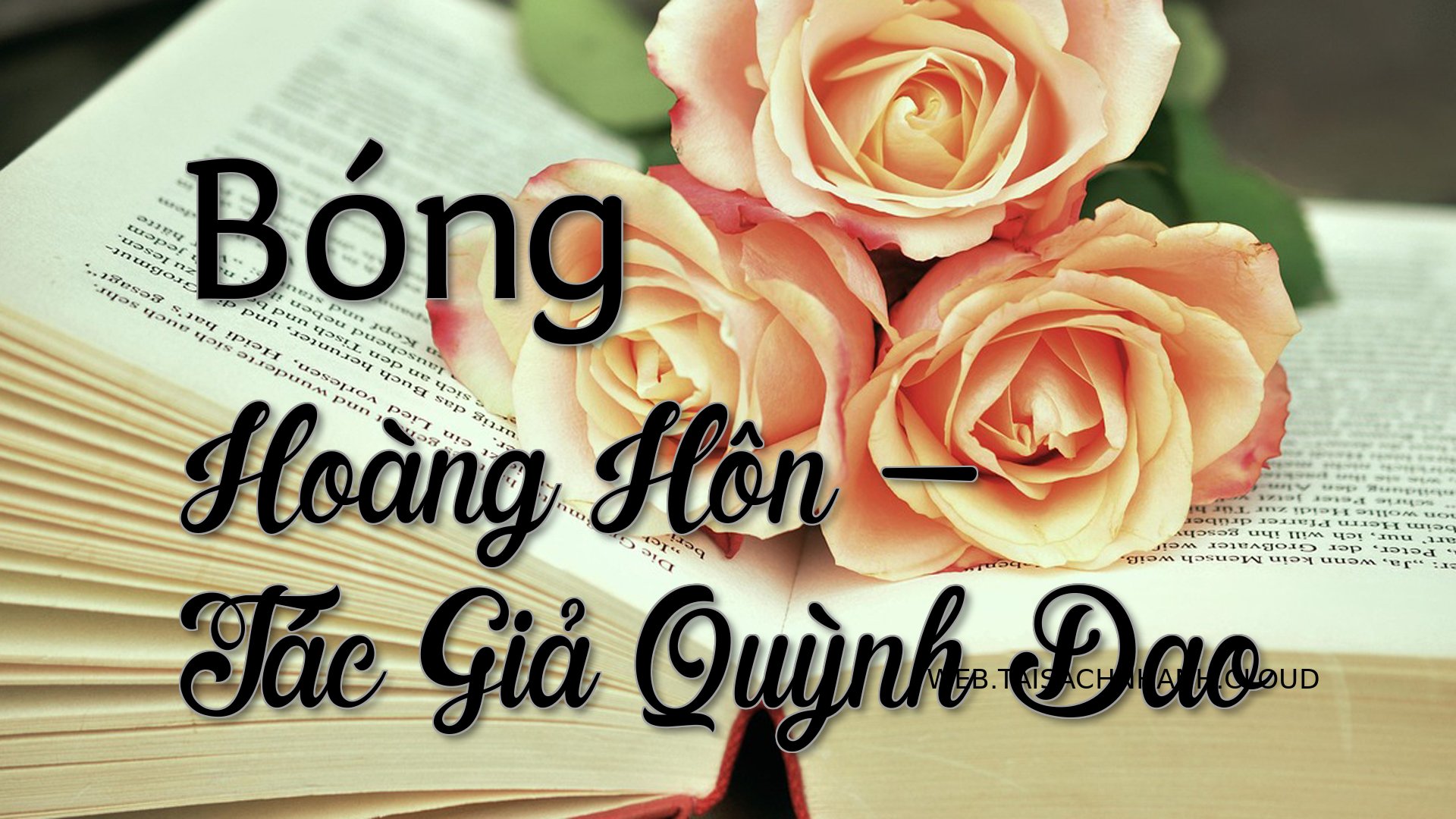 Cover Bong Hoang Hon.jpg