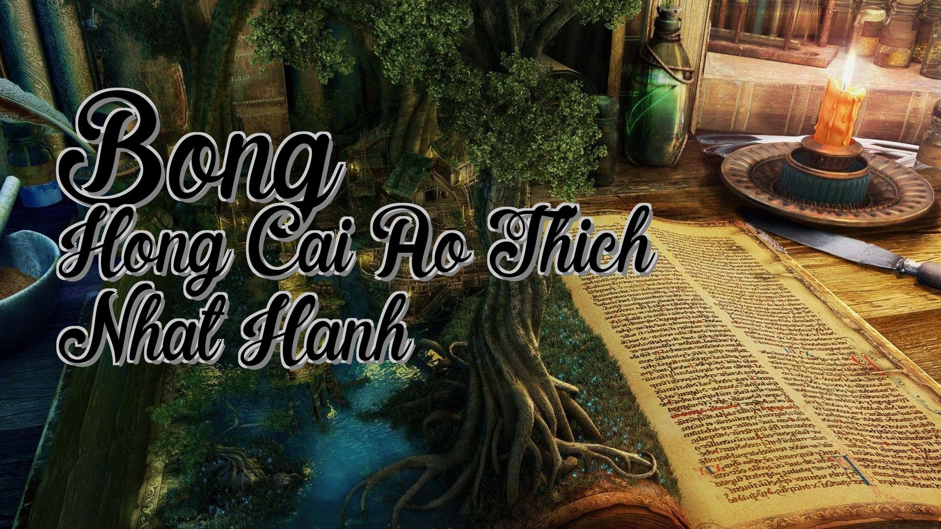 cover-Bong Hong Cai Ao Thich Nhat Hanh