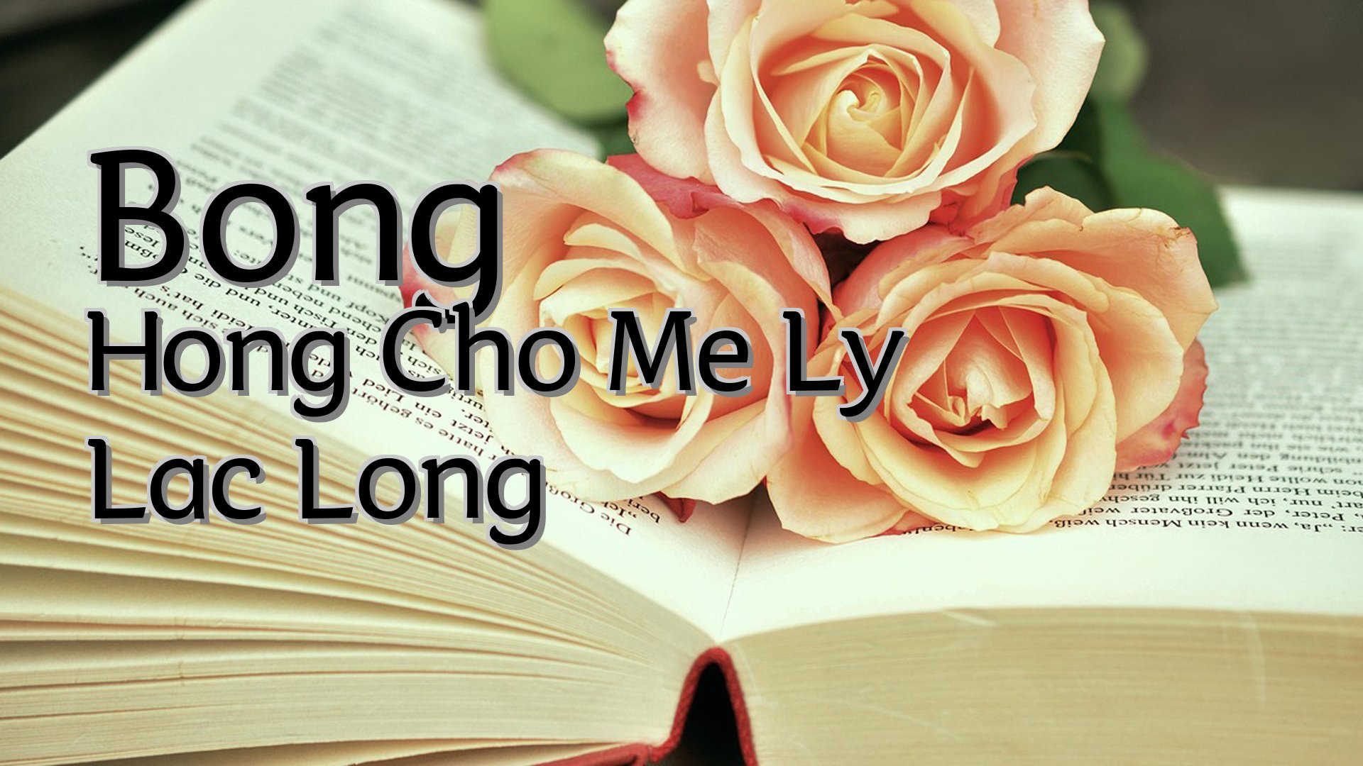 cover-Bong Hong Cho Me Ly Lac Long
