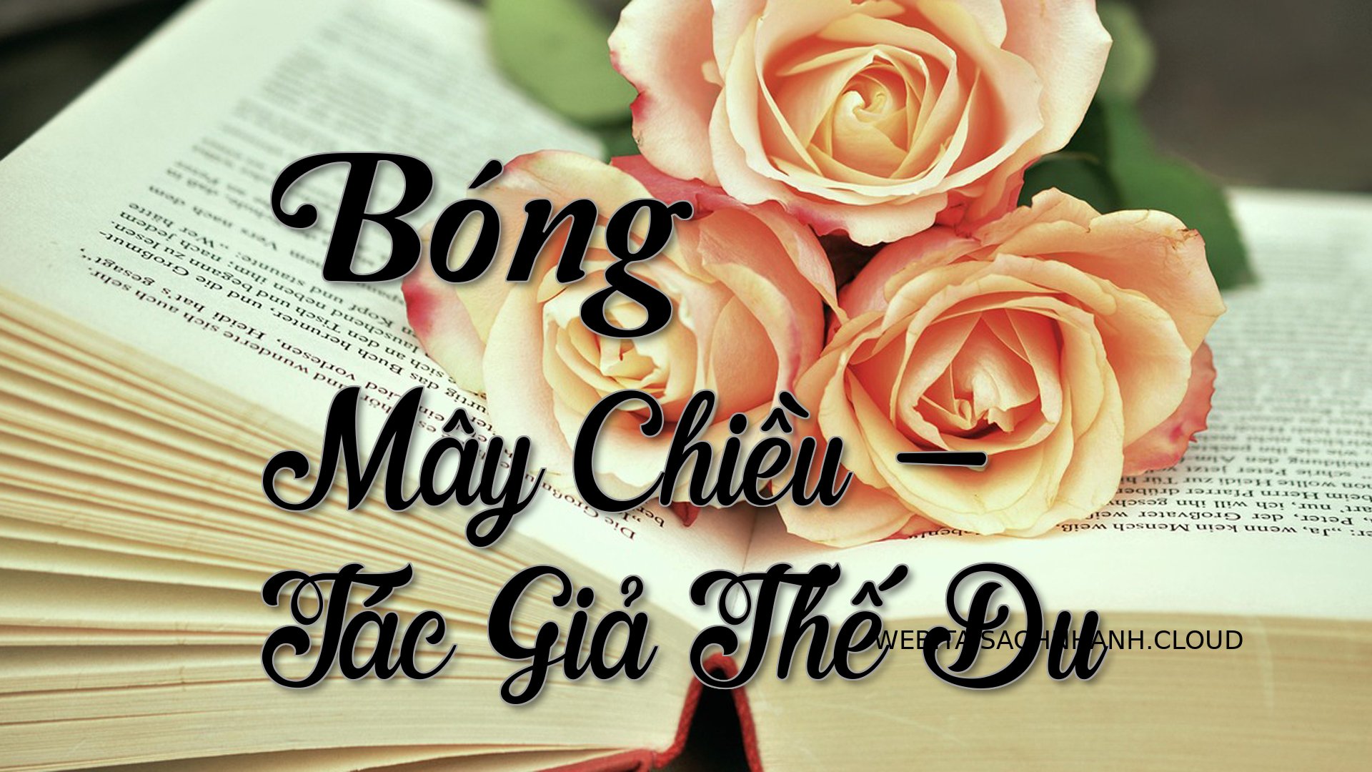 Cover Bong May Chieu.jpg