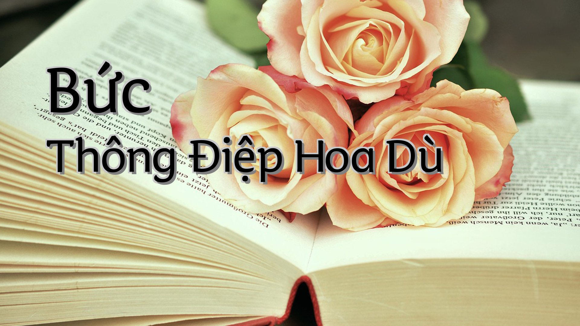 cover-Bức Thông Điệp Hoa Dù
