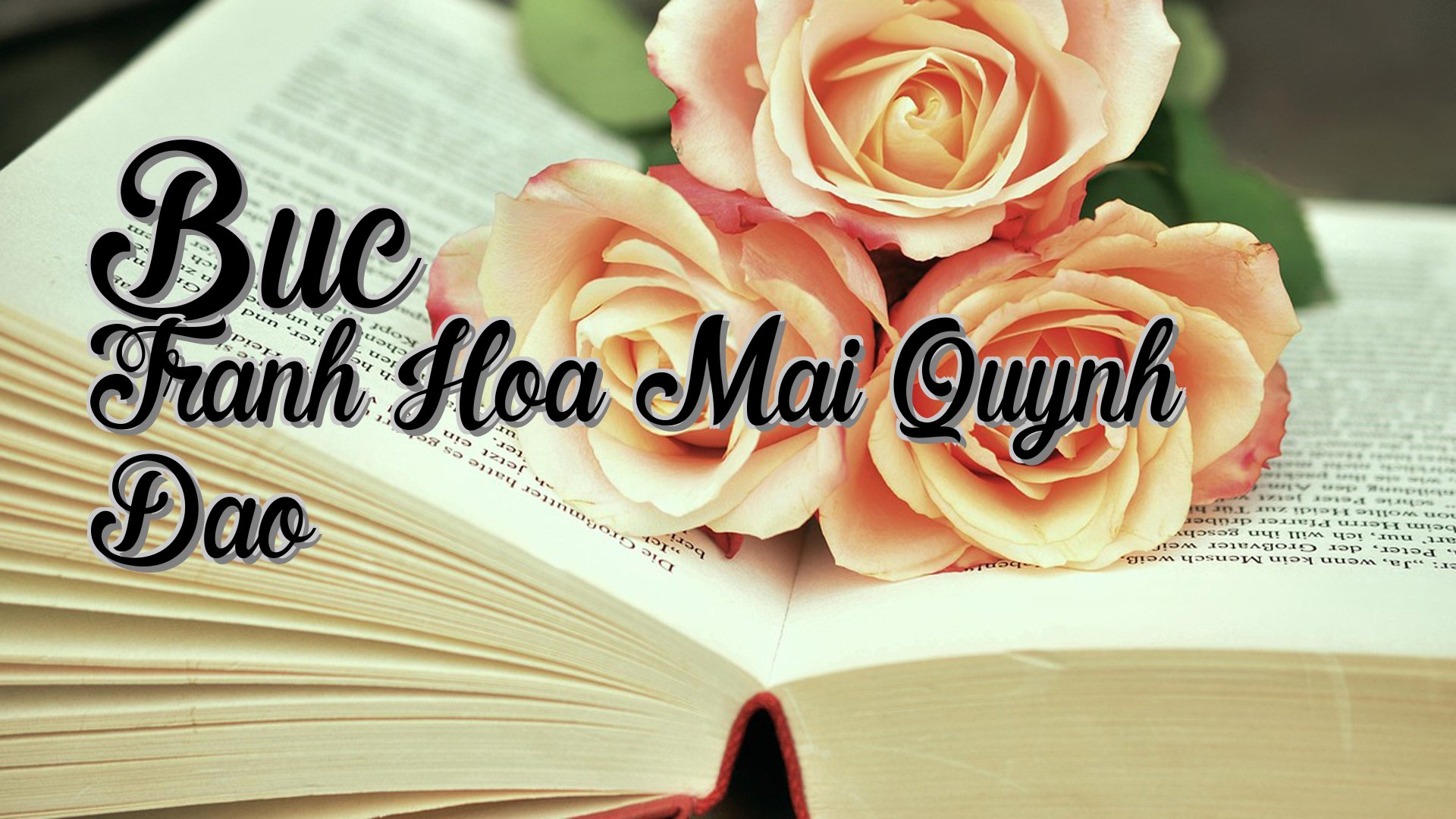 cover-Buc Tranh Hoa Mai Quynh Dao