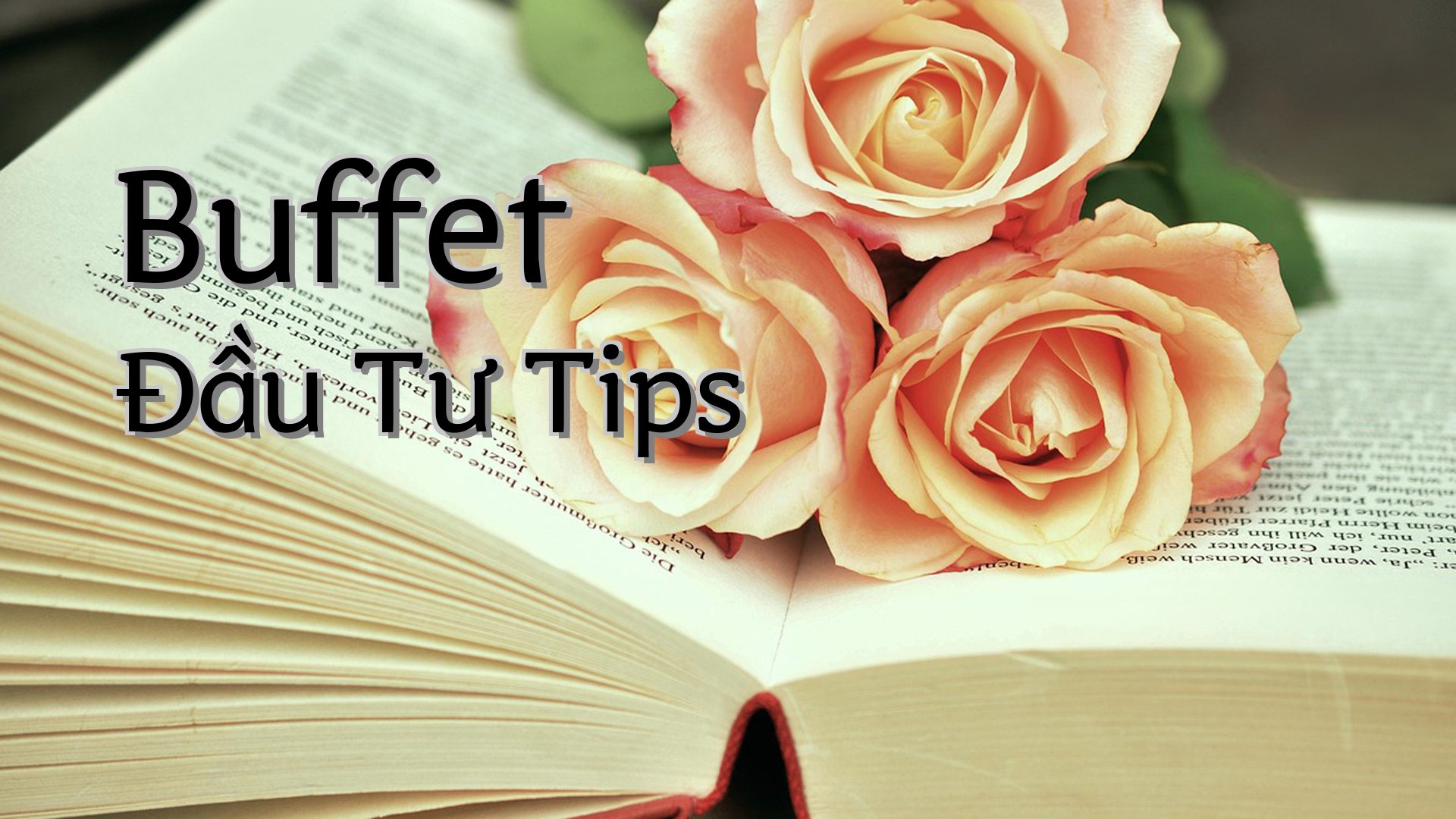 cover-Buffet Đầu Tư Tips