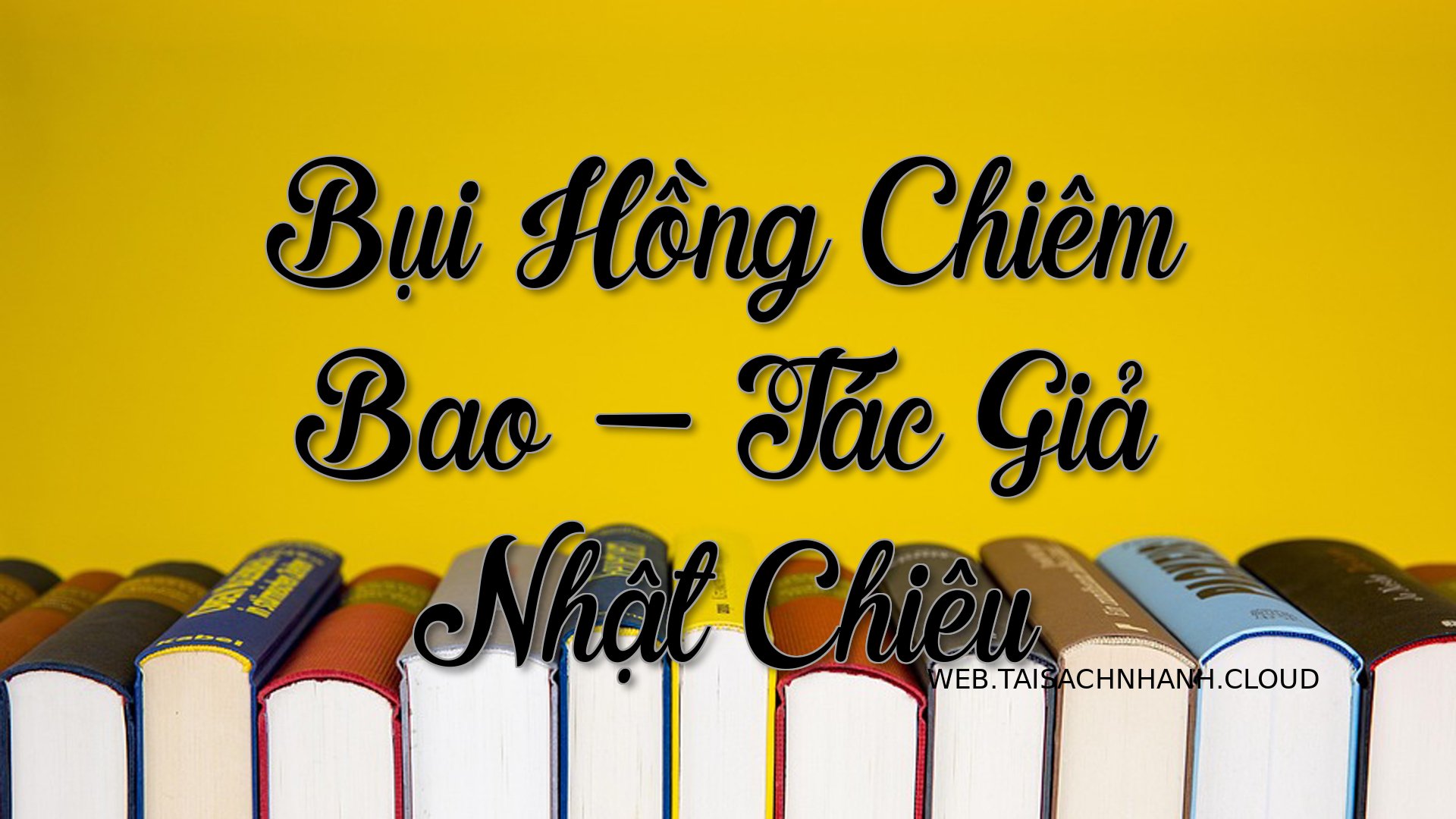 Cover Bui Hong Chiem Bao.jpg