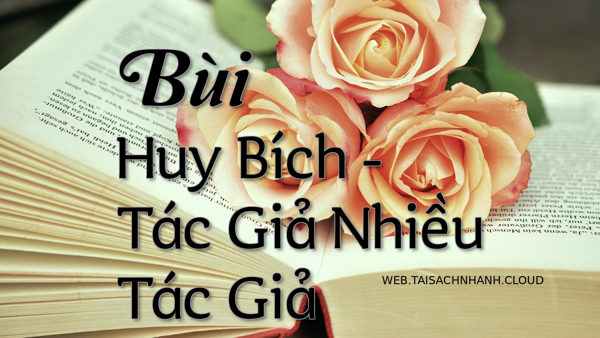 Cover Bui Huy Bich.jpg