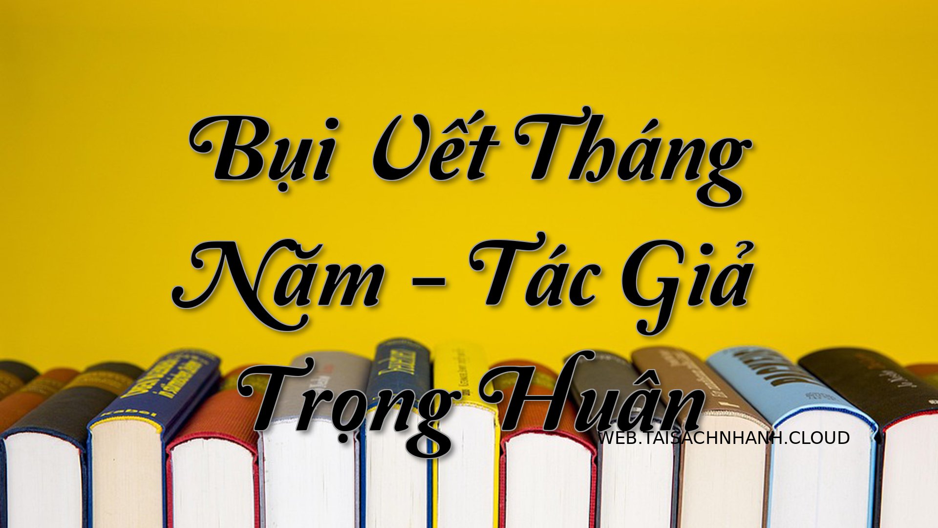 Cover Bui Vet Thang Nam.jpg