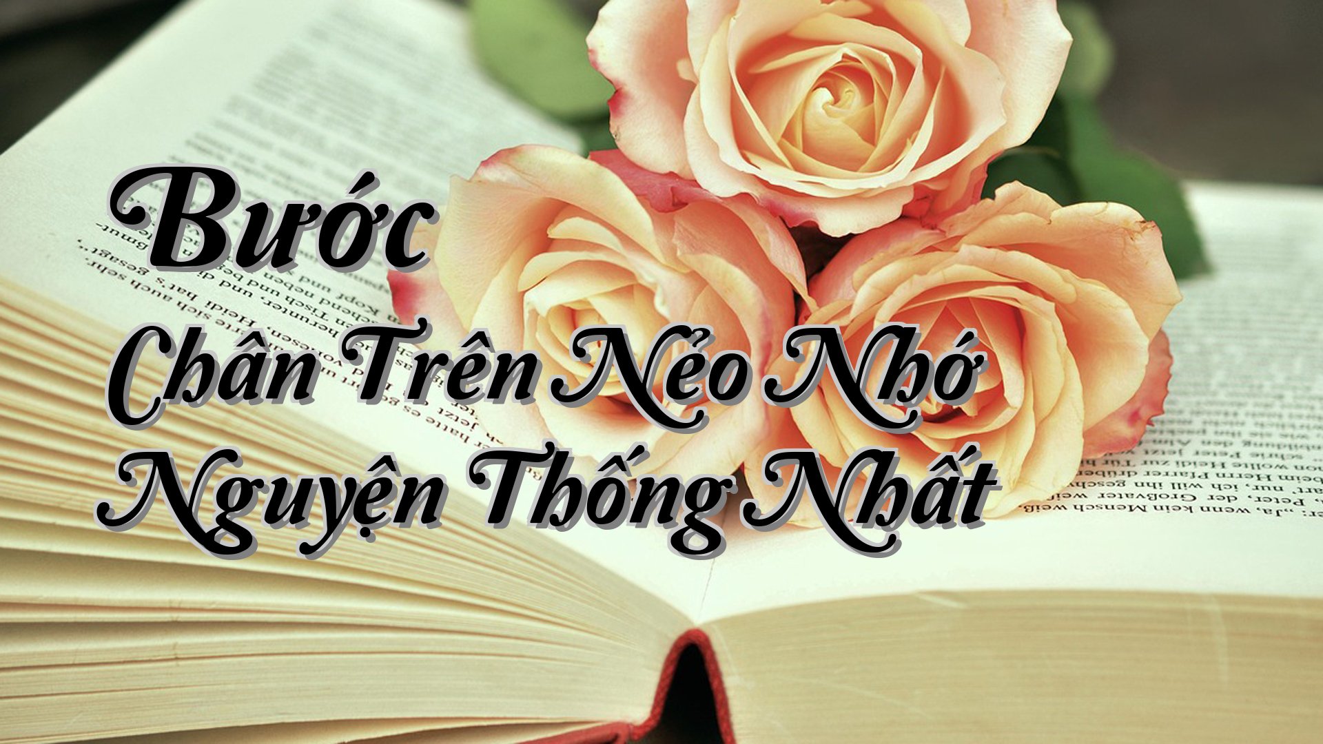 cover-Bước Chân Trên Nẻo Nhớ Nguyện Thống Nhất