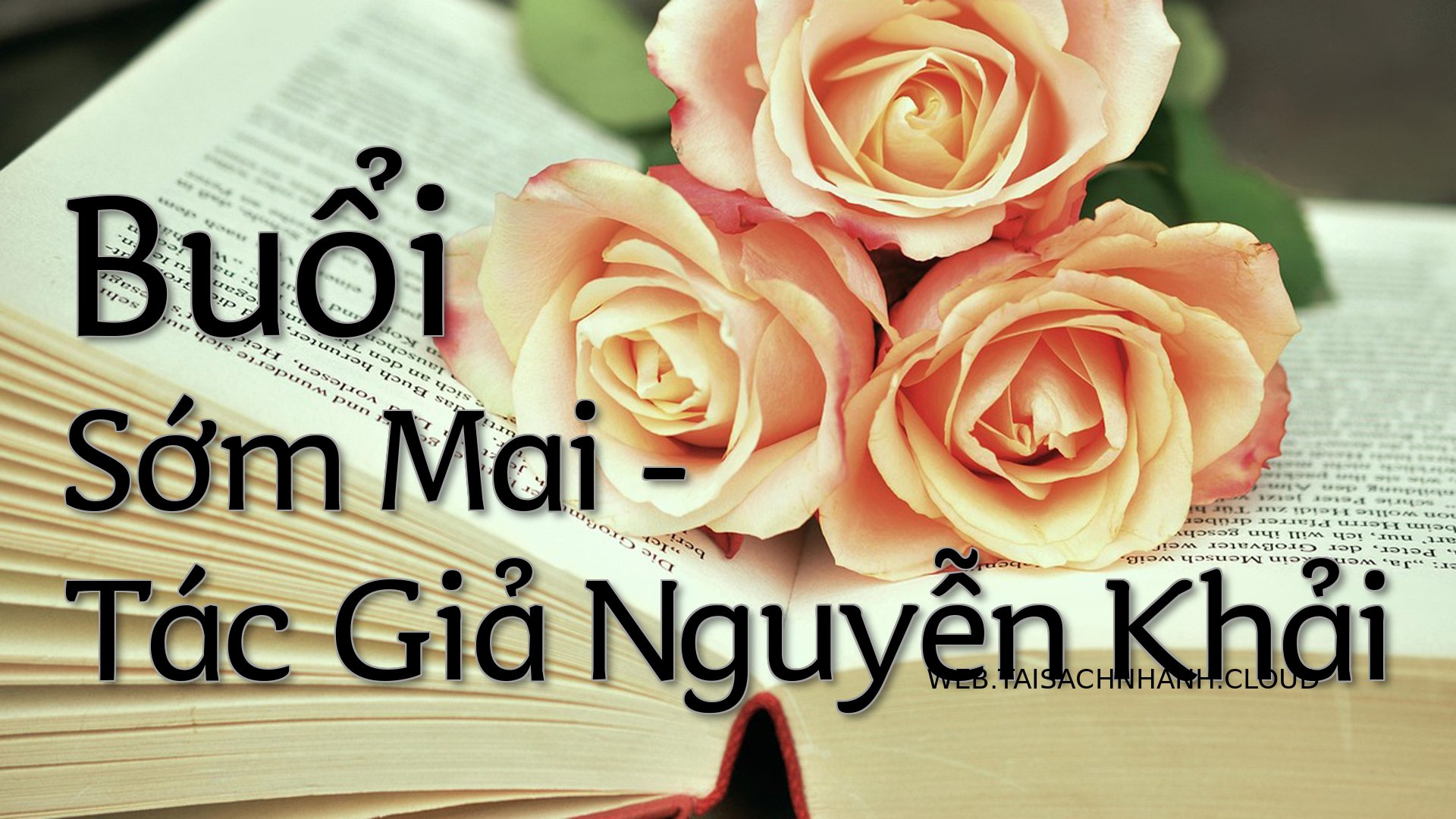 Cover Buoi Som Mai.jpg