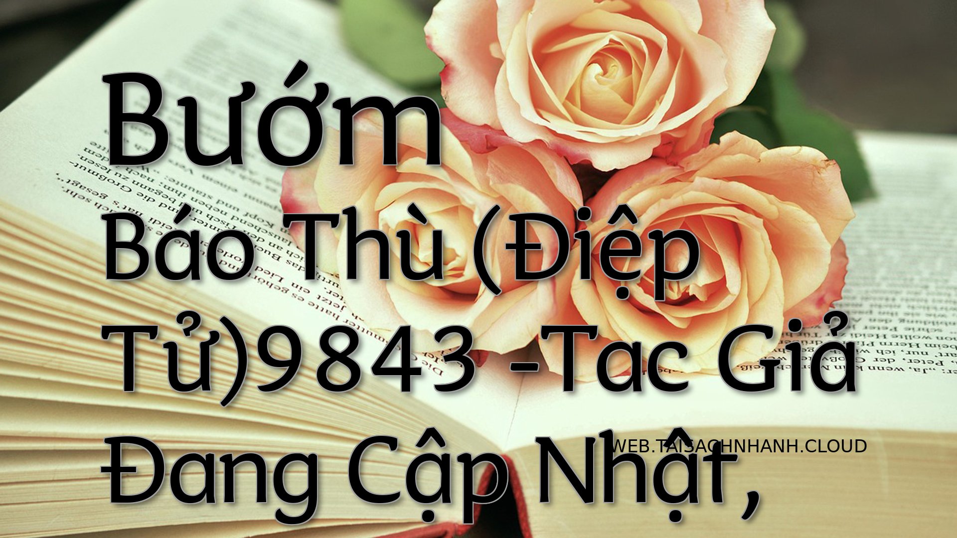 Cover Buom Bao Thu Diep T.jpg