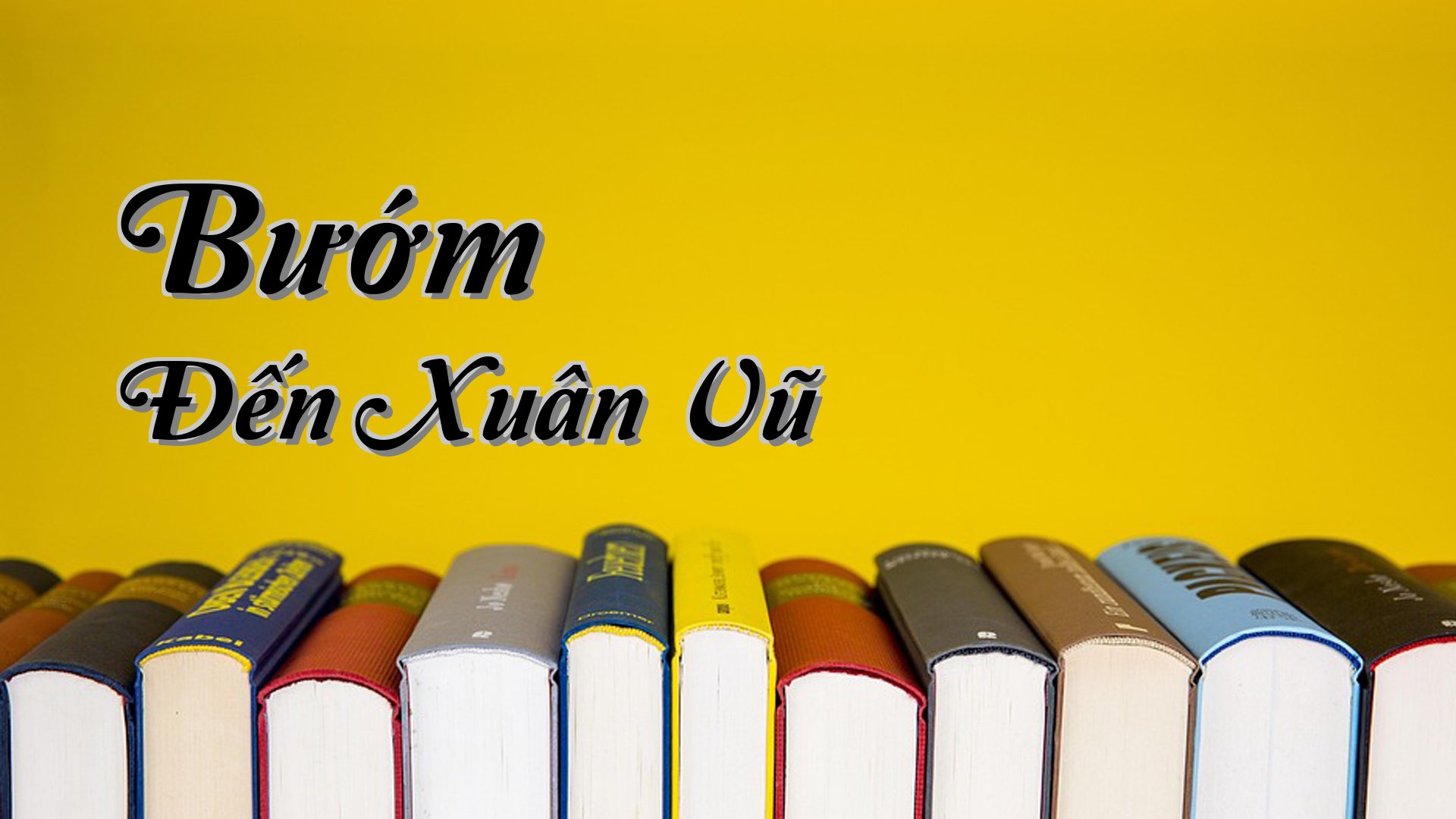 cover-Bướm Đến Xuân Vũ