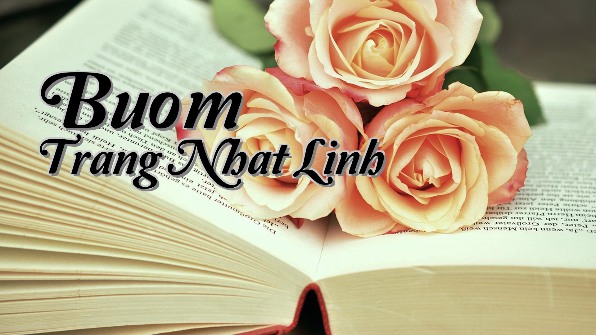 cover-Buom Trang Nhat Linh