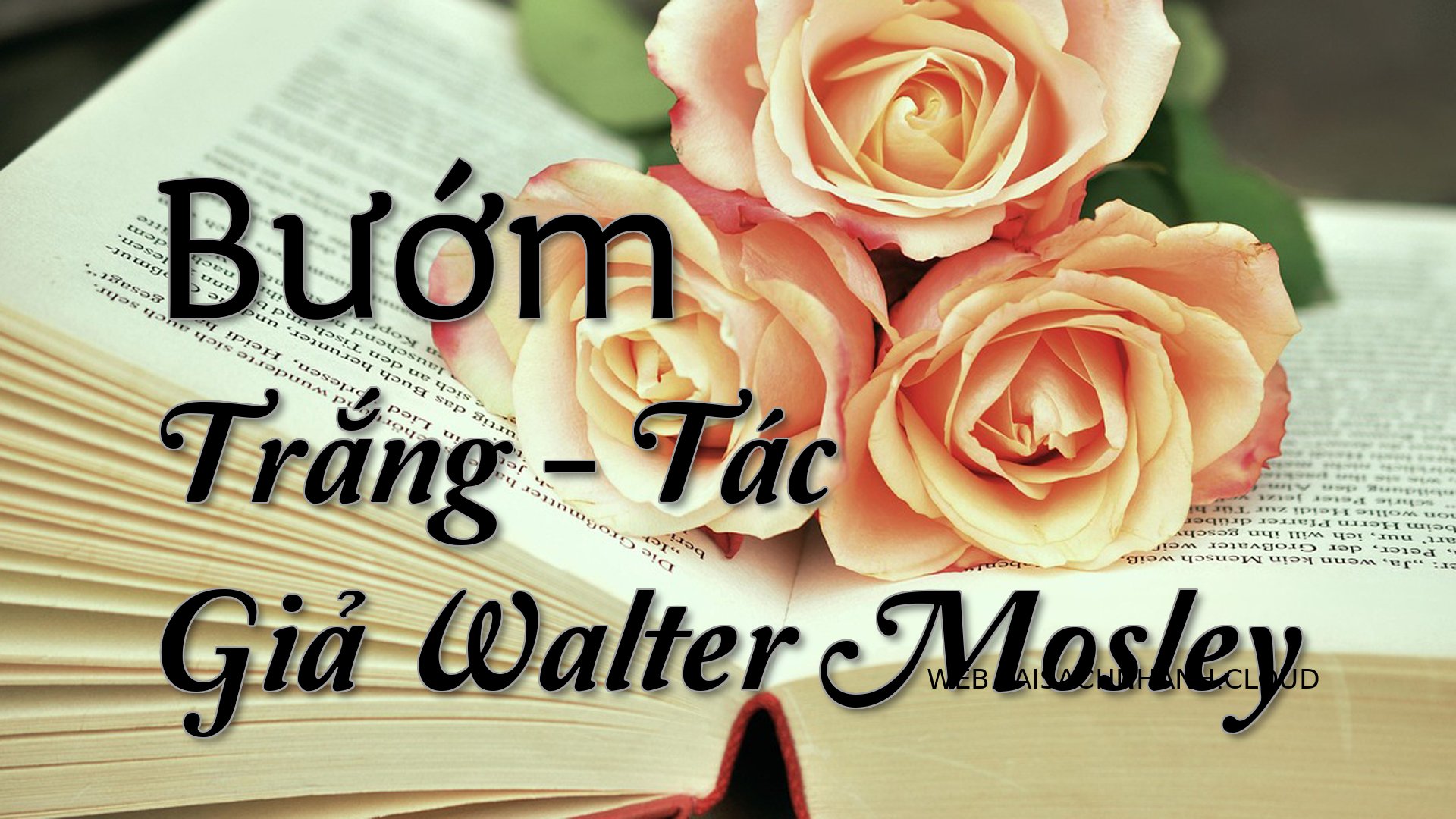 Cover Buom Trang.jpg