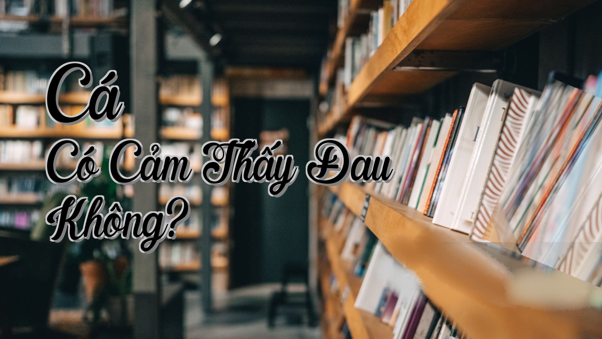 cover-Cá Có Cảm Thấy Đau Không?