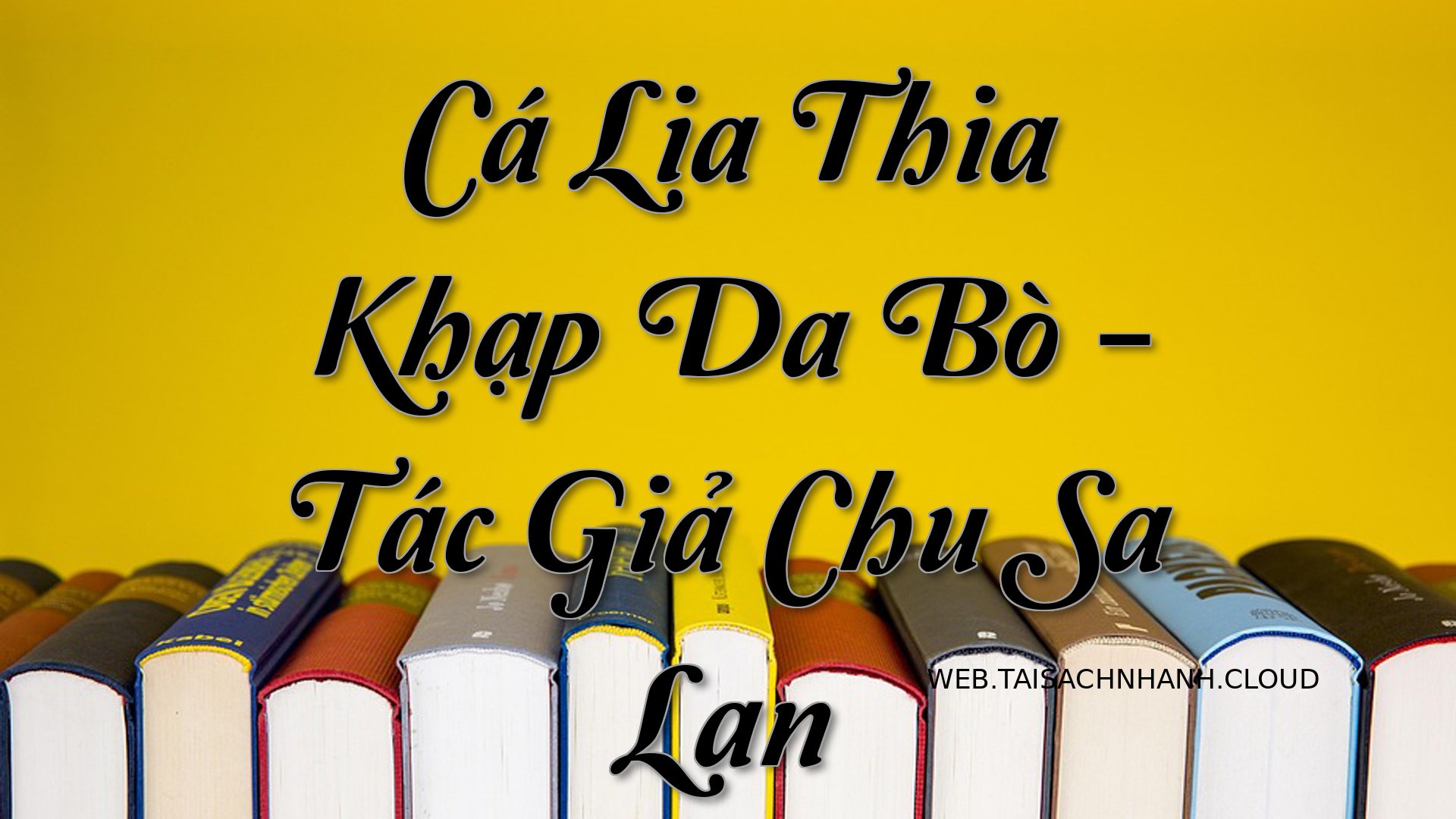 Cover Ca Lia Thia Khap Da .jpg