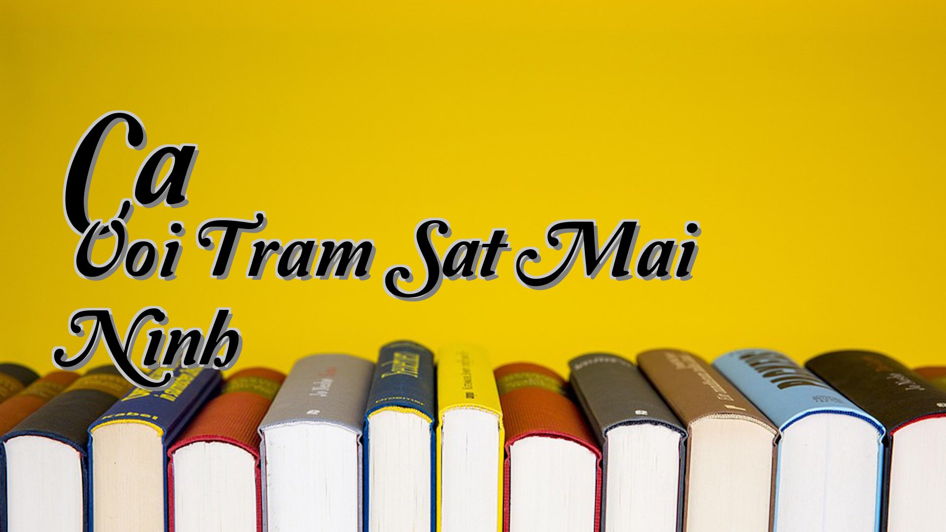cover-Ca Voi Tram Sat Mai Ninh