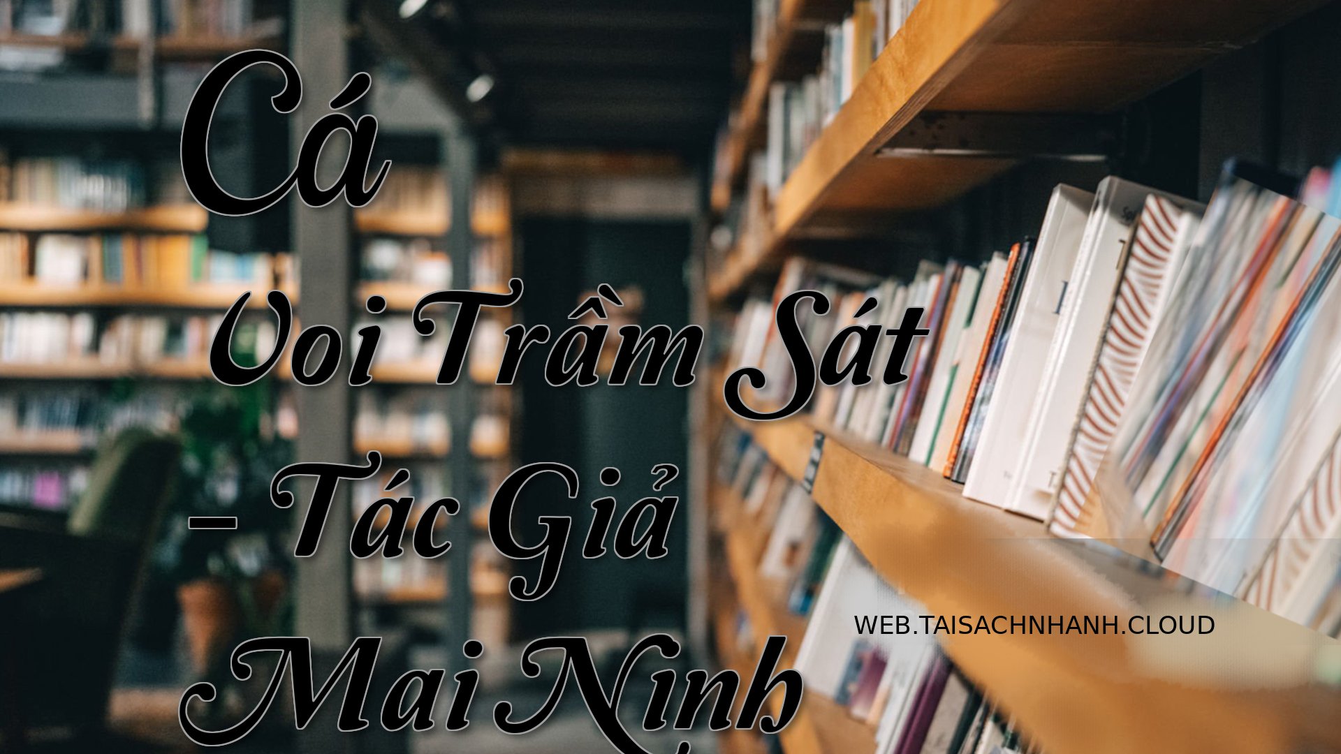 Cover Ca Voi Tram Sat.jpg