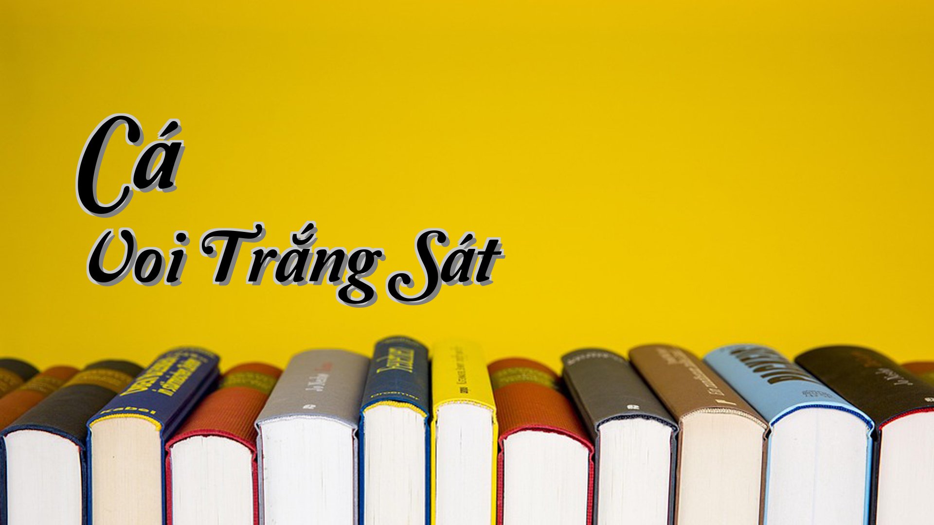 cover-Cá Voi Trắng Sát