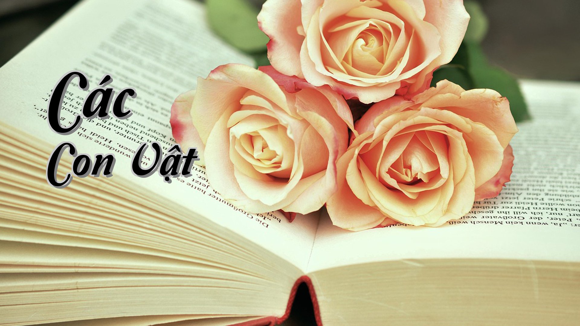 cover-Các Con Vật