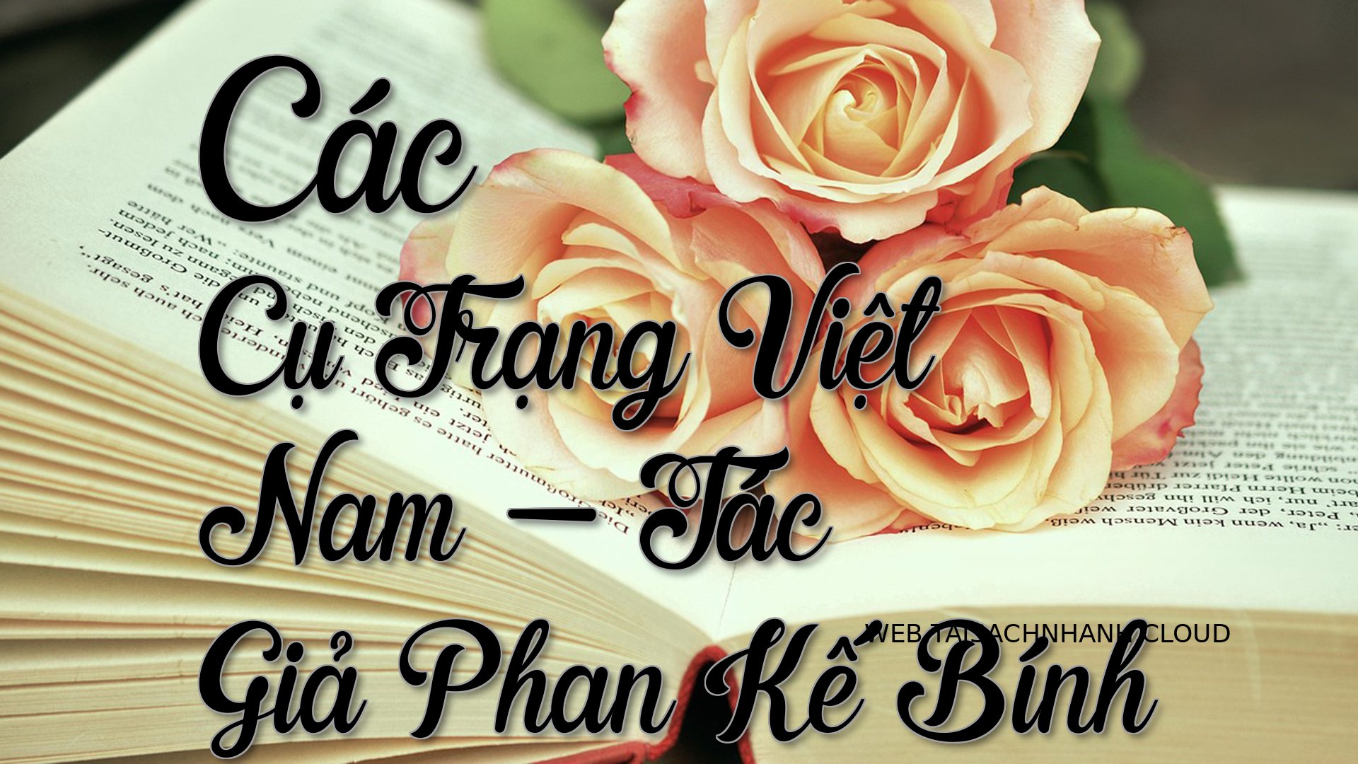Cover Cac Cu Trang Viet Na.jpg