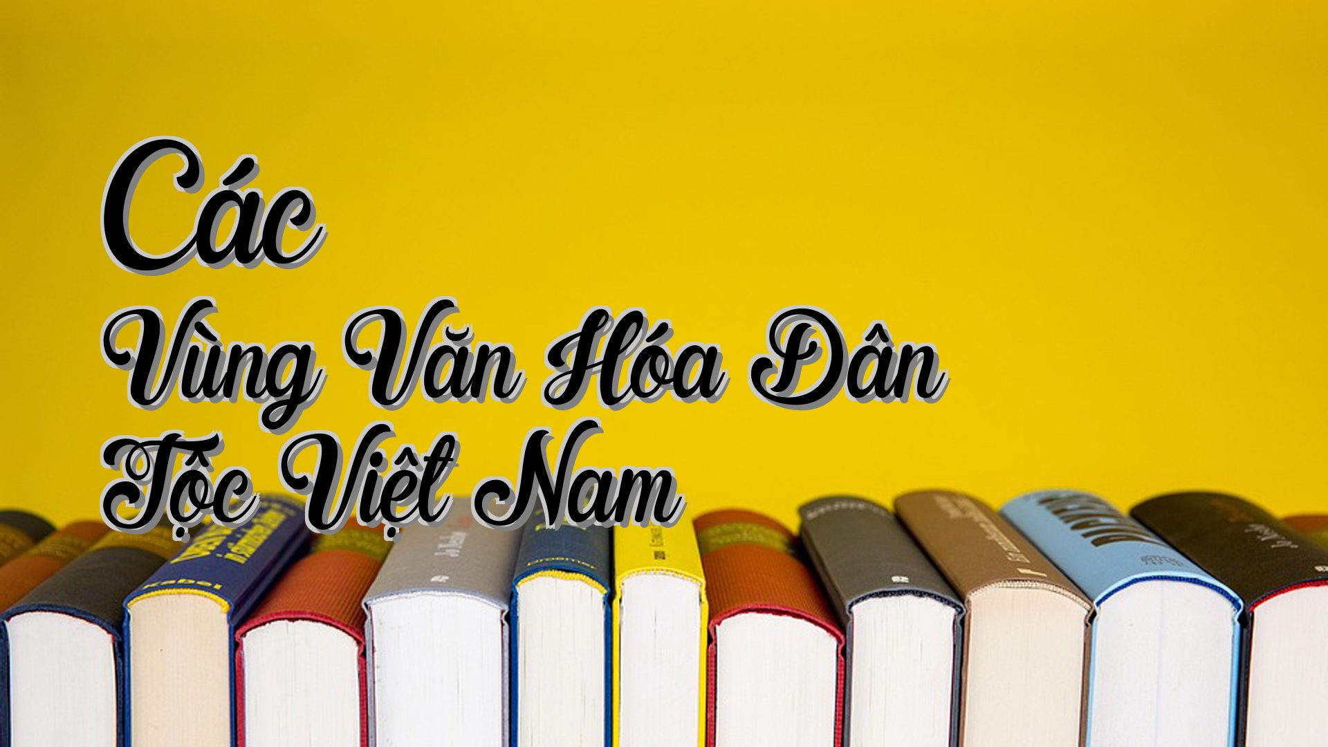 cover-Các Vùng Văn Hóa Dân Tộc Việt Nam