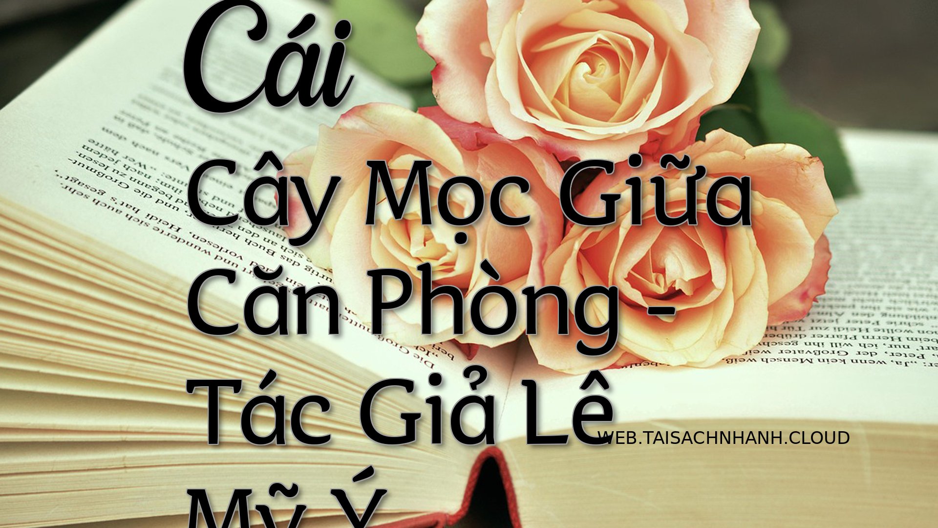 Cover Cai Cay Moc Giua Can.jpg