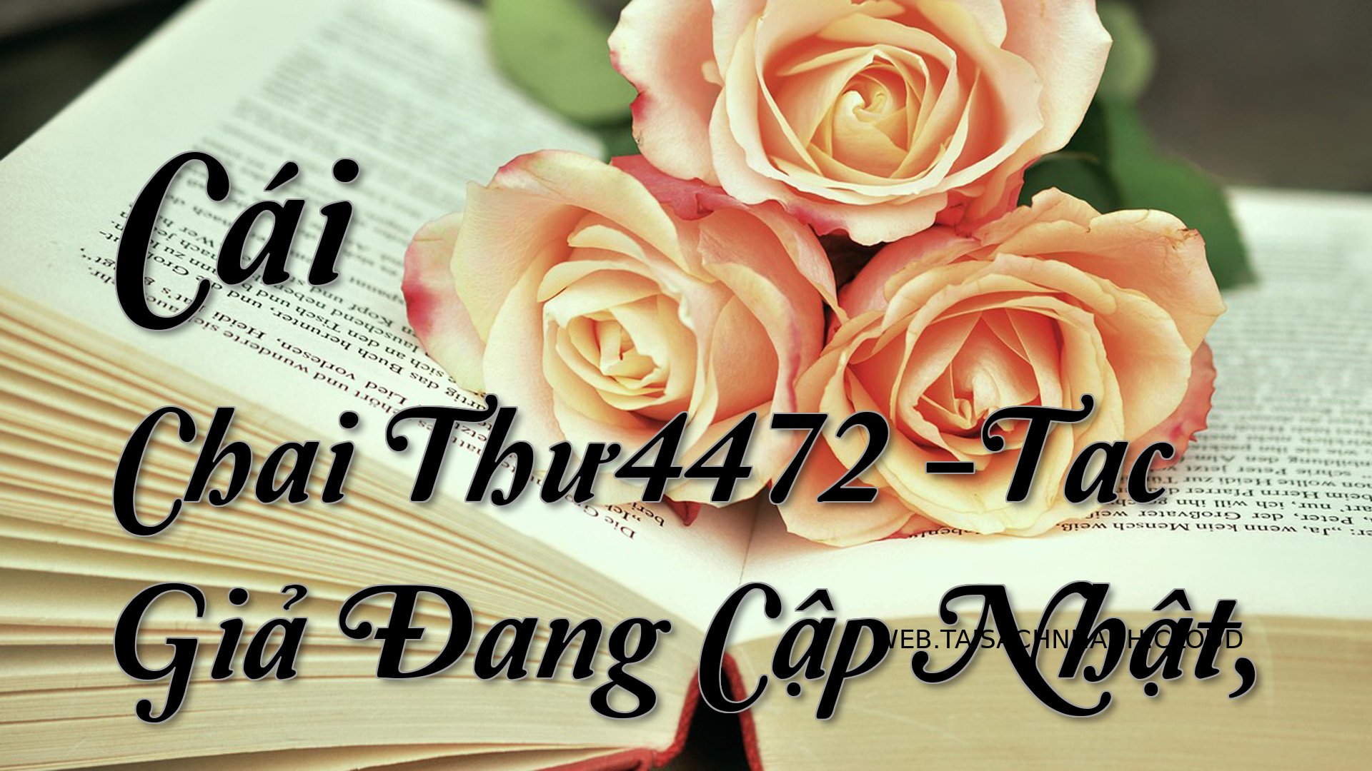 Cover Cai Chai Thu4472.jpg